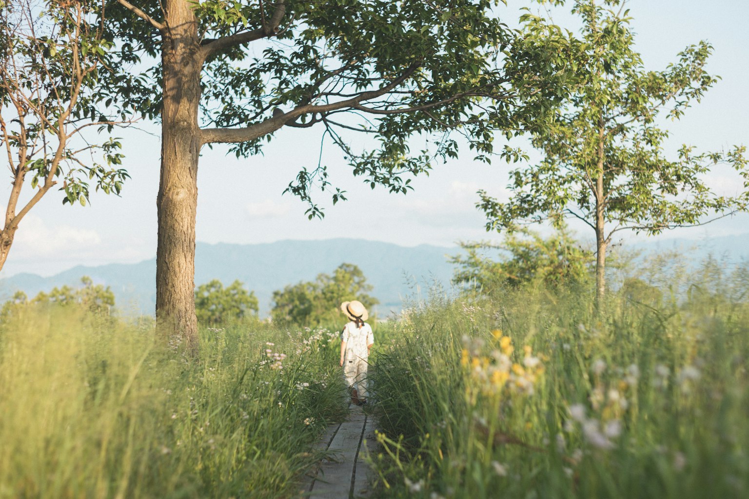 A woman walking along a wooden path in a lush green meadow with trees and mountains in the background