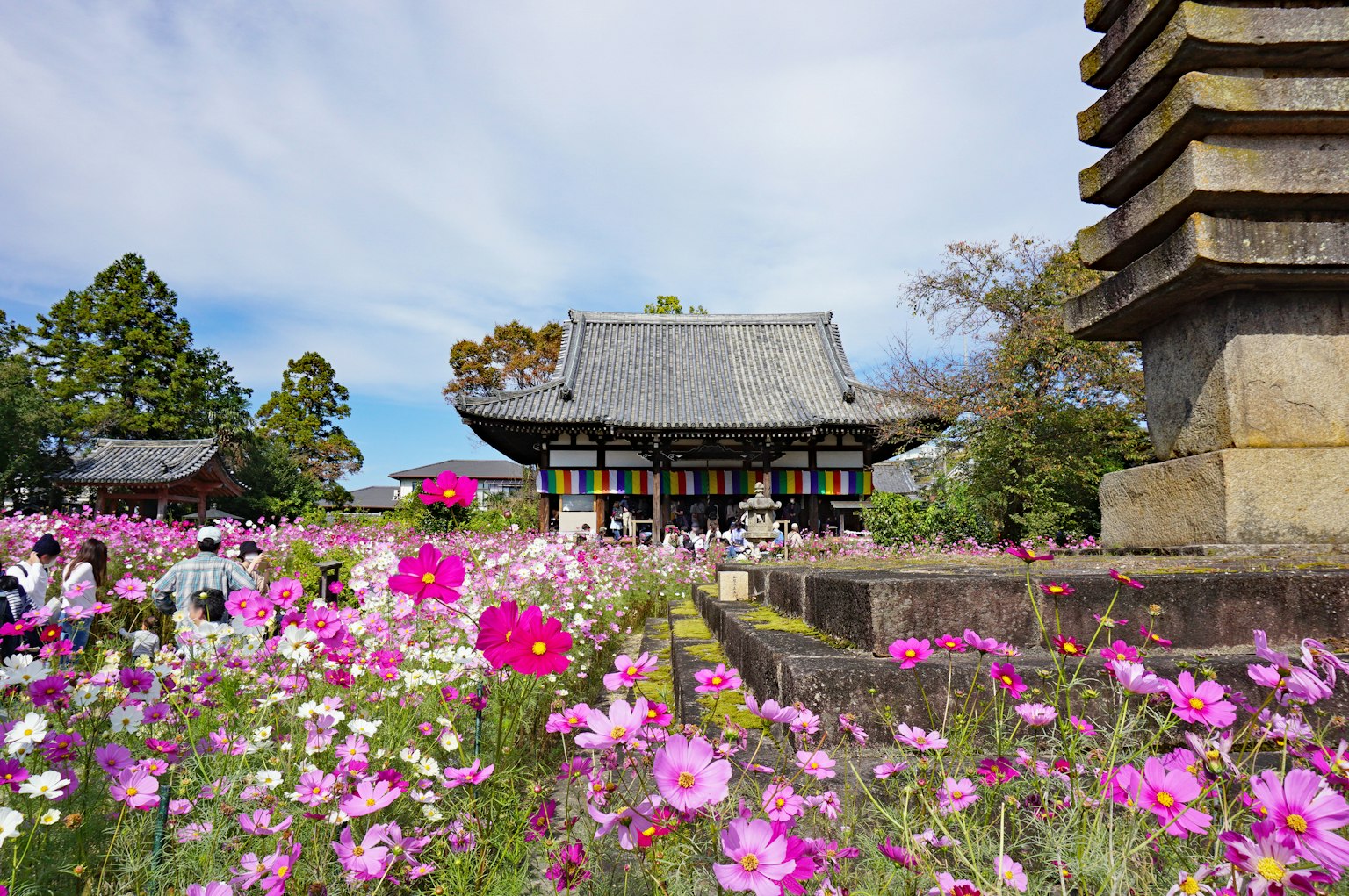 Vue pittoresque avec des fleurs colorées et un ancien temple