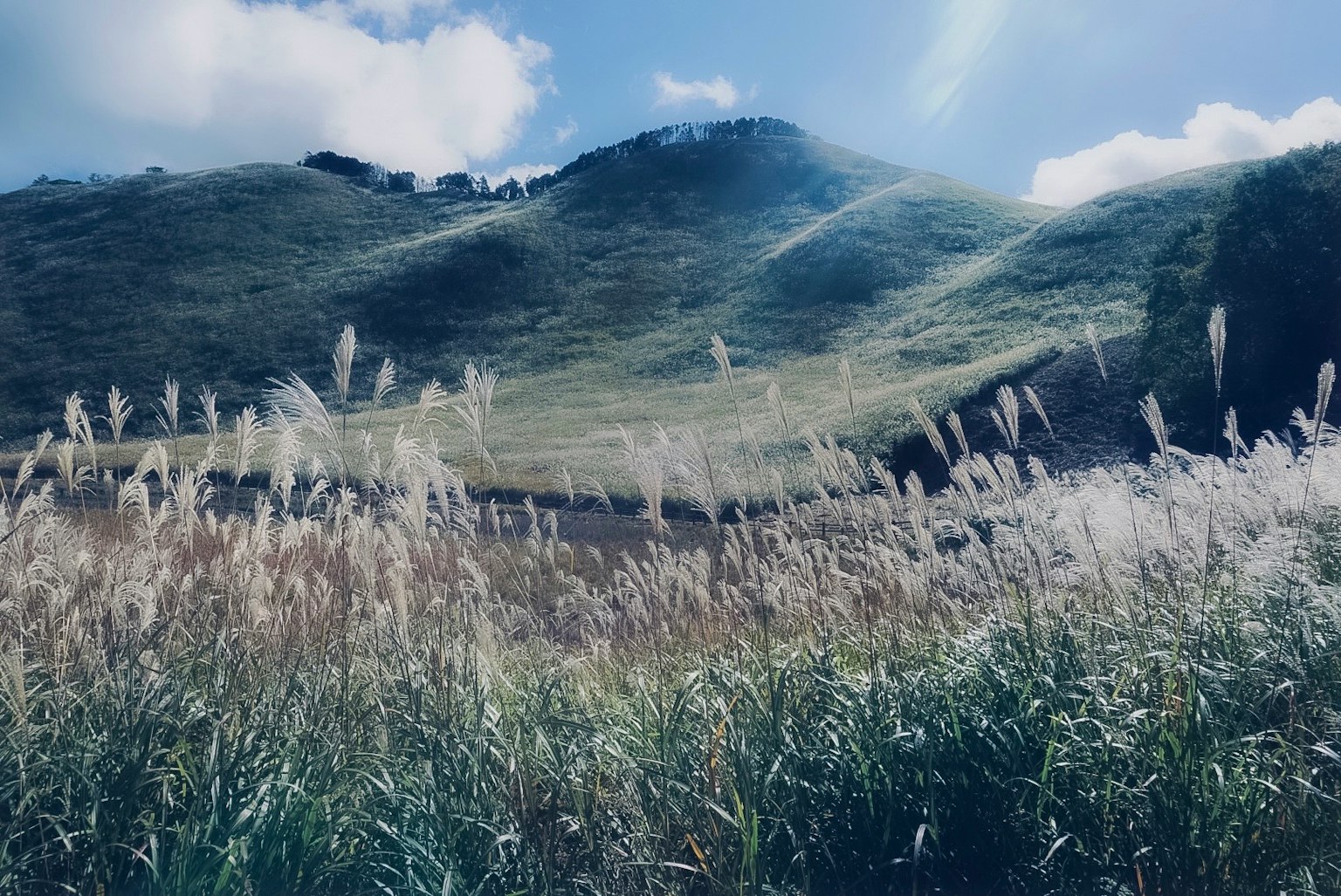 Brillante paisaje de colinas y praderas bajo un cielo azul