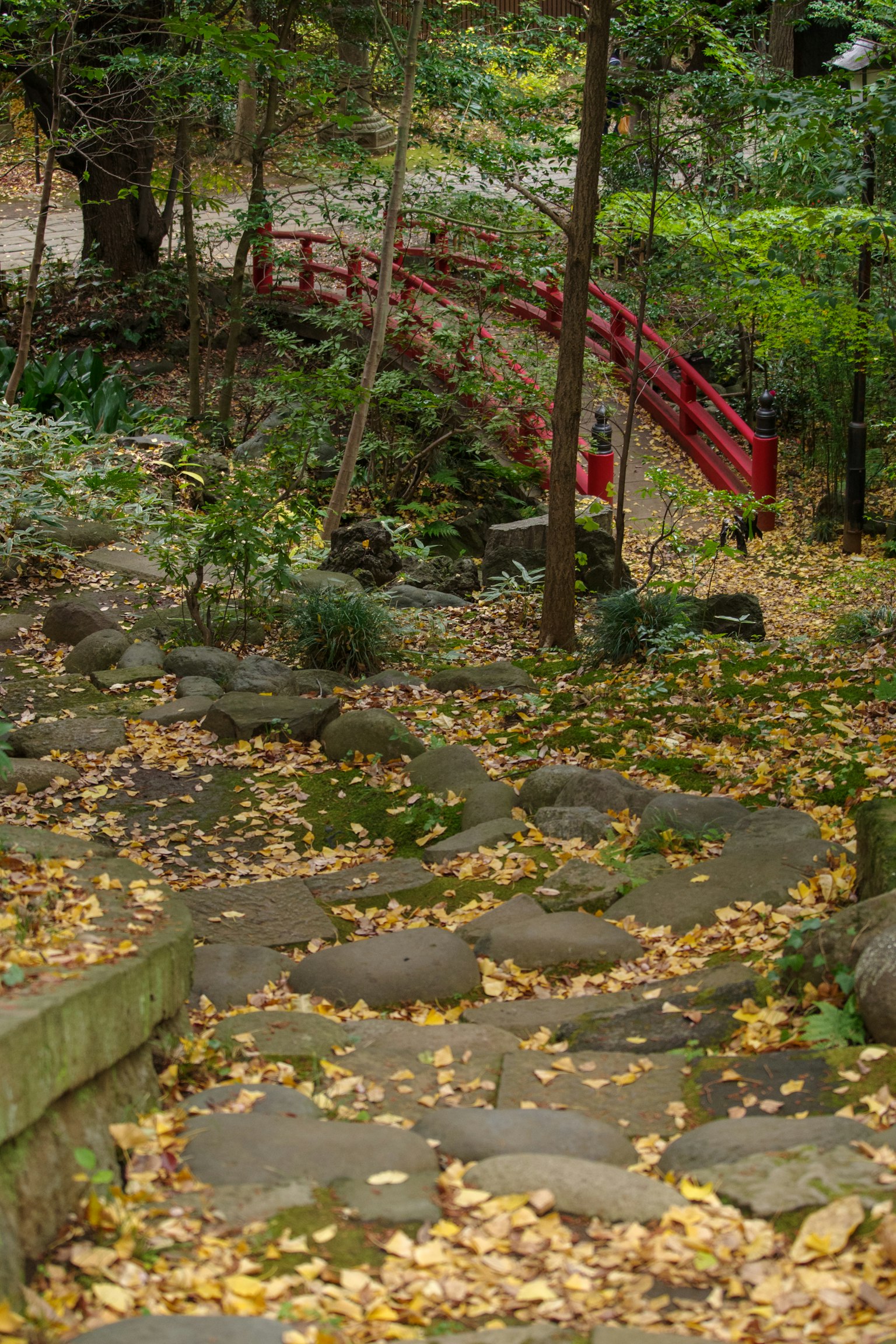 石頭小路上有落葉和紅橋