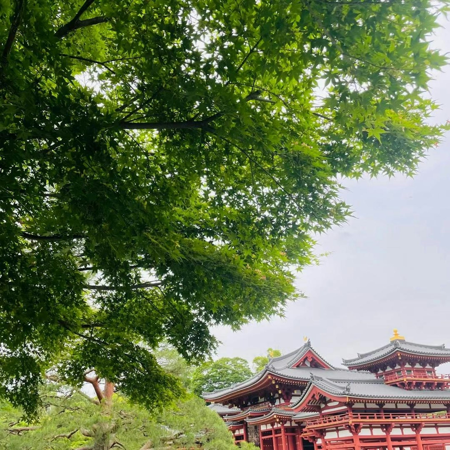 Malersicher Blick auf einen traditionellen japanischen Tempel, umrahmt von üppigen grünen Bäumen