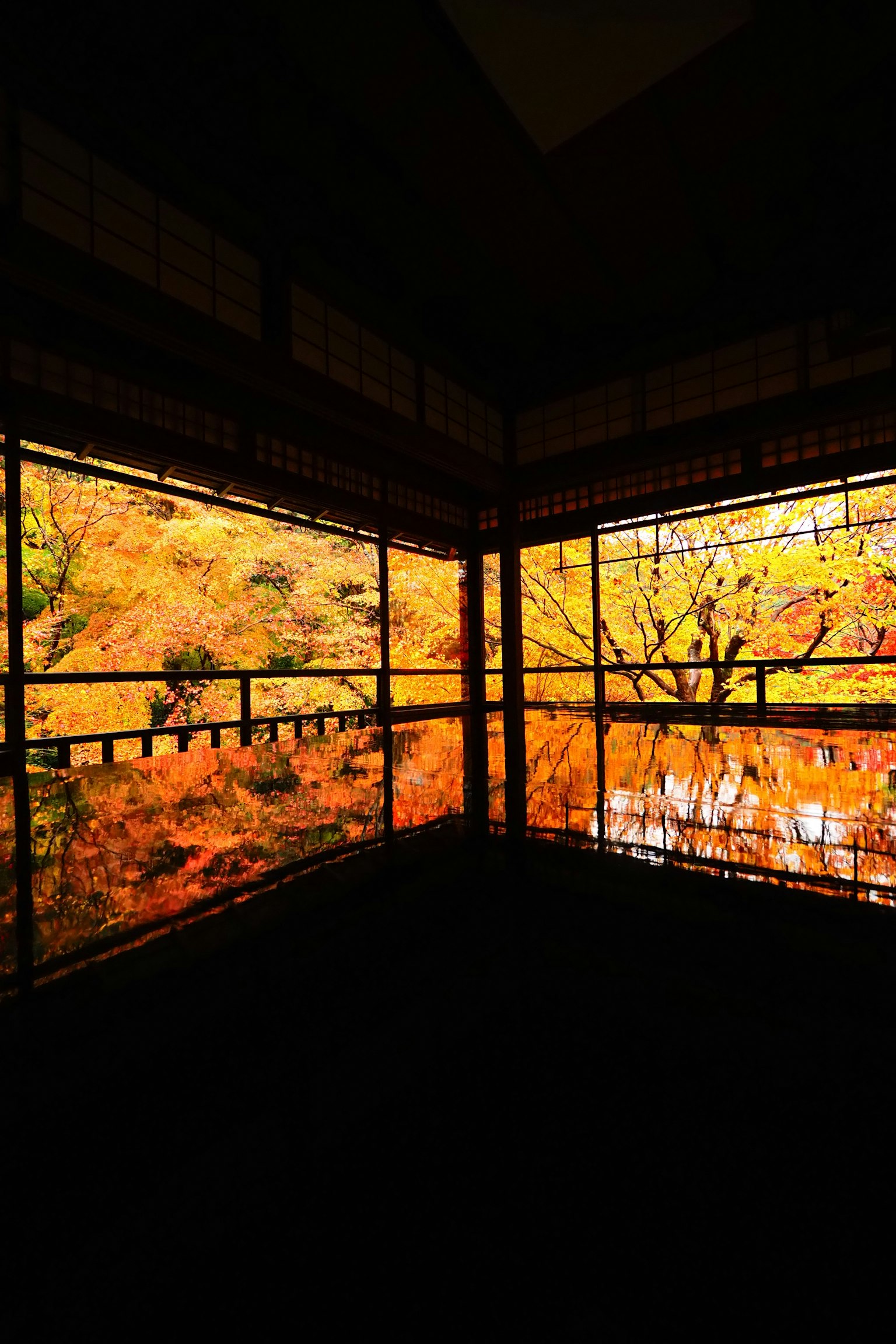 Stanza tranquilla con fogliame autunnale riflesso nelle finestre