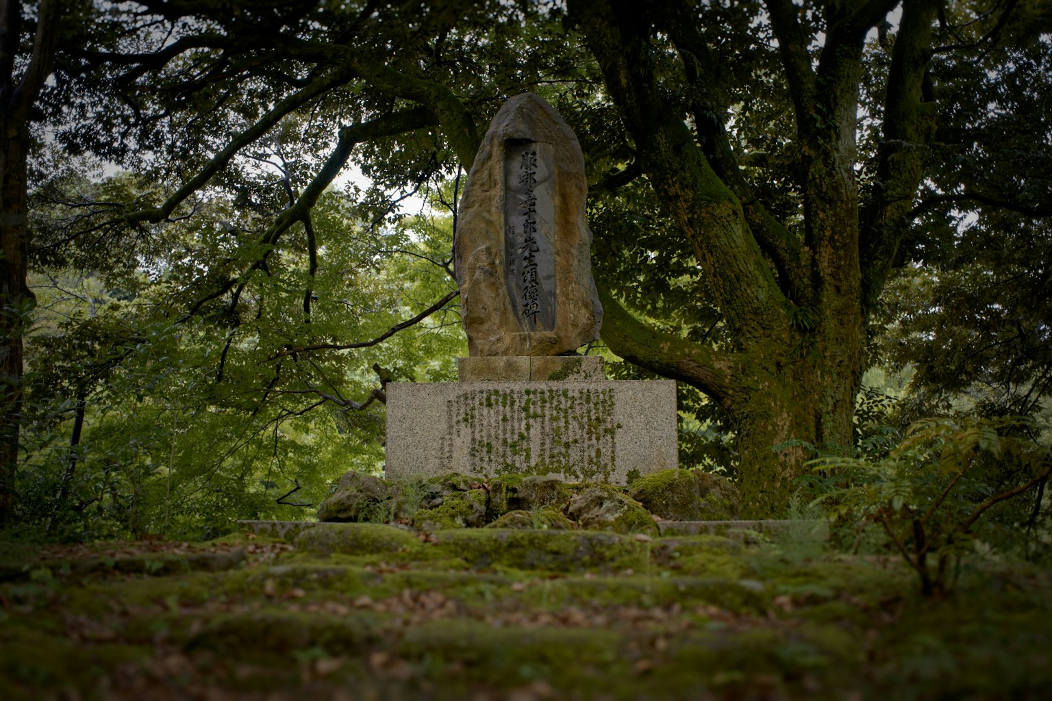 Steindenkmal umgeben von Bäumen in einer üppigen grünen Umgebung