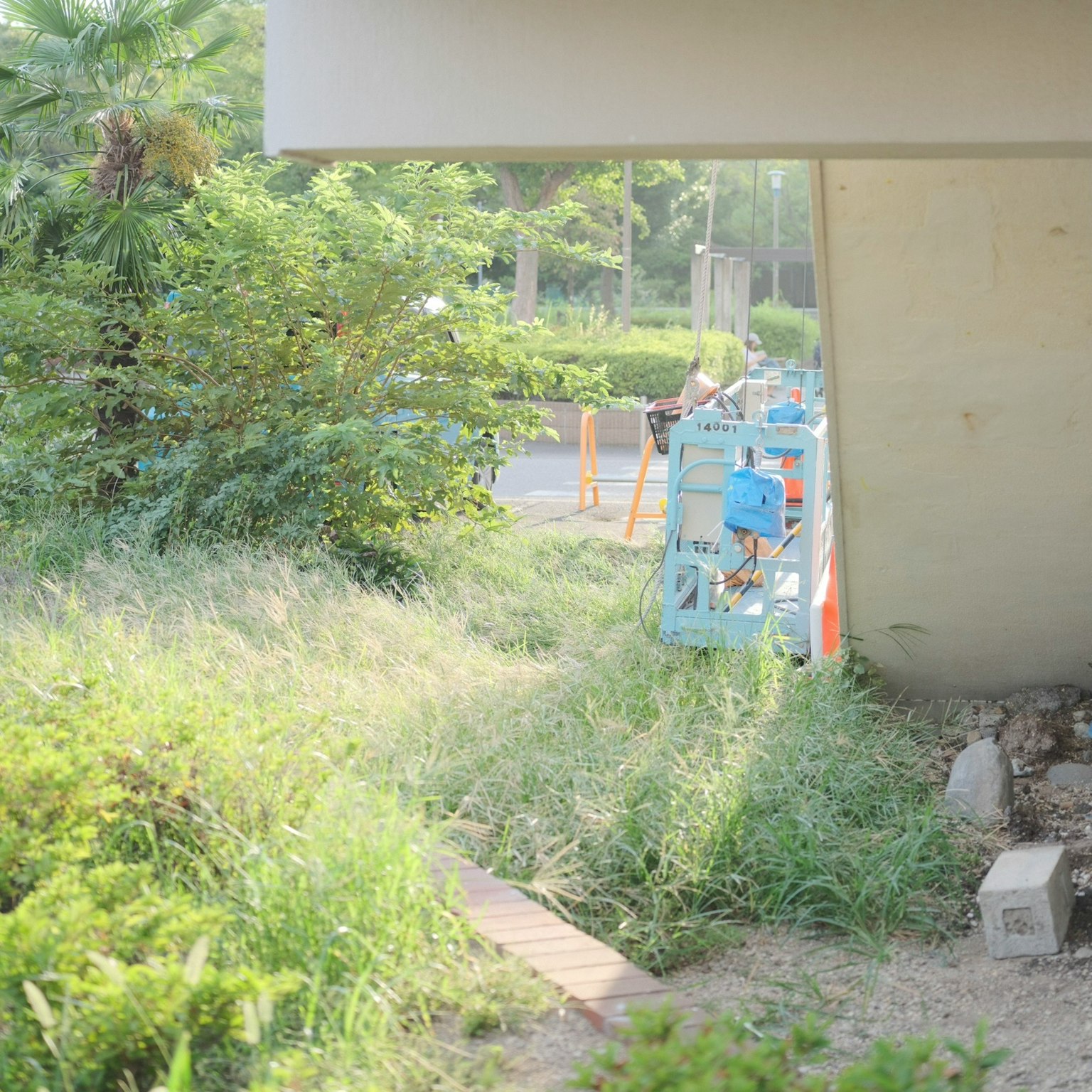 草が生い茂る道の脇に青い機械とオレンジのコーンが見える風景