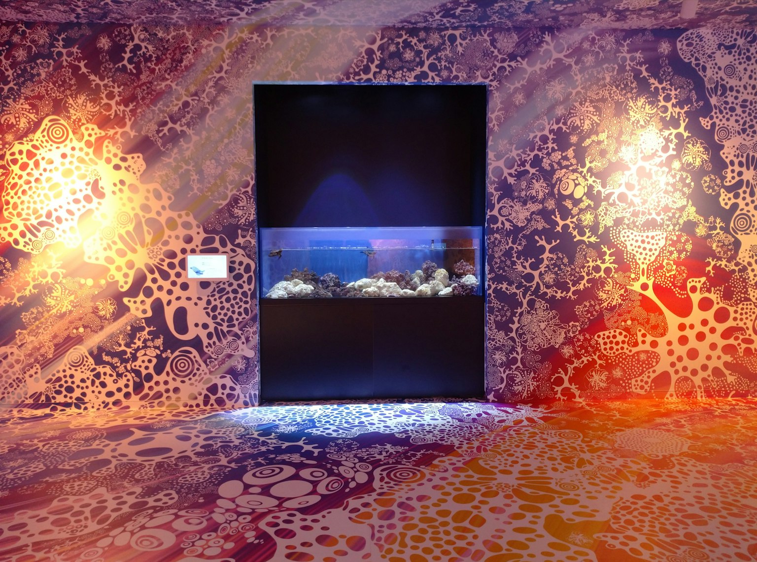 色とりどりの模様の壁と床が特徴的な展示室の内部に水槽が設置されている