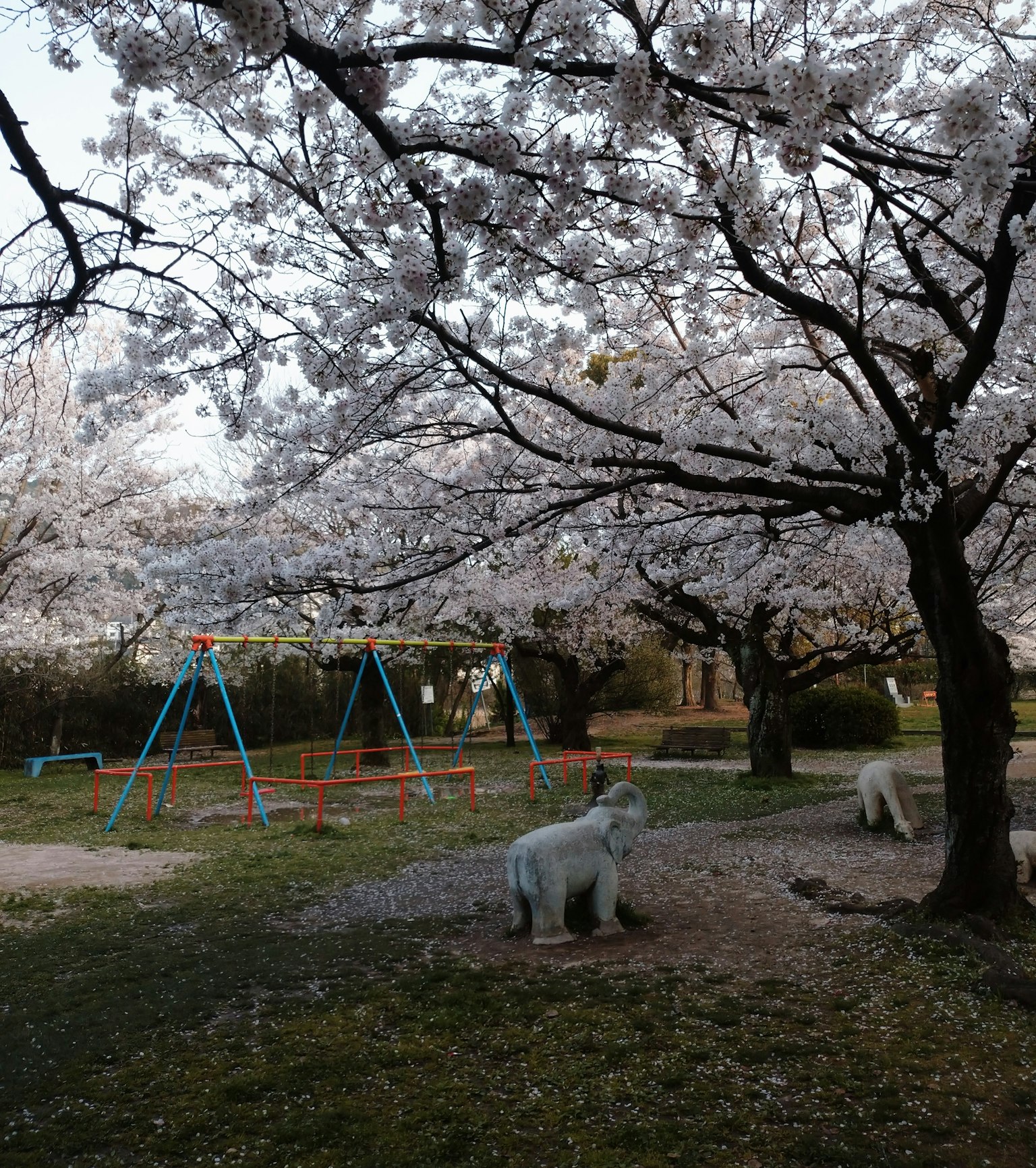 สวนที่มีต้นซากุระสนามเด็กเล่นและรูปปั้นสุนัขขาว