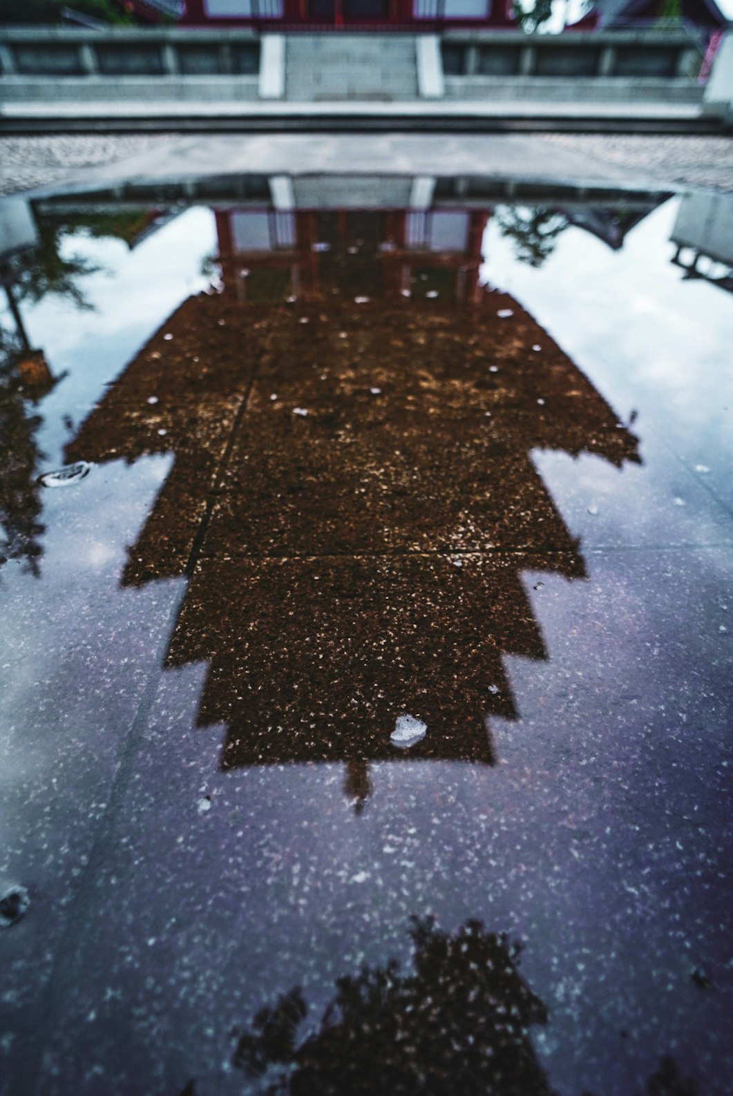 雪地鹅卵石小路上的伞形影子