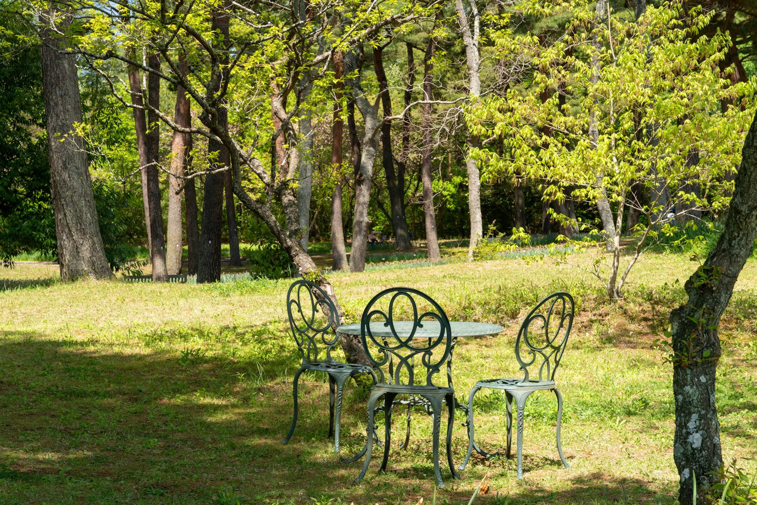 무성한 정원에 있는 철제 테이블과 의자 세트