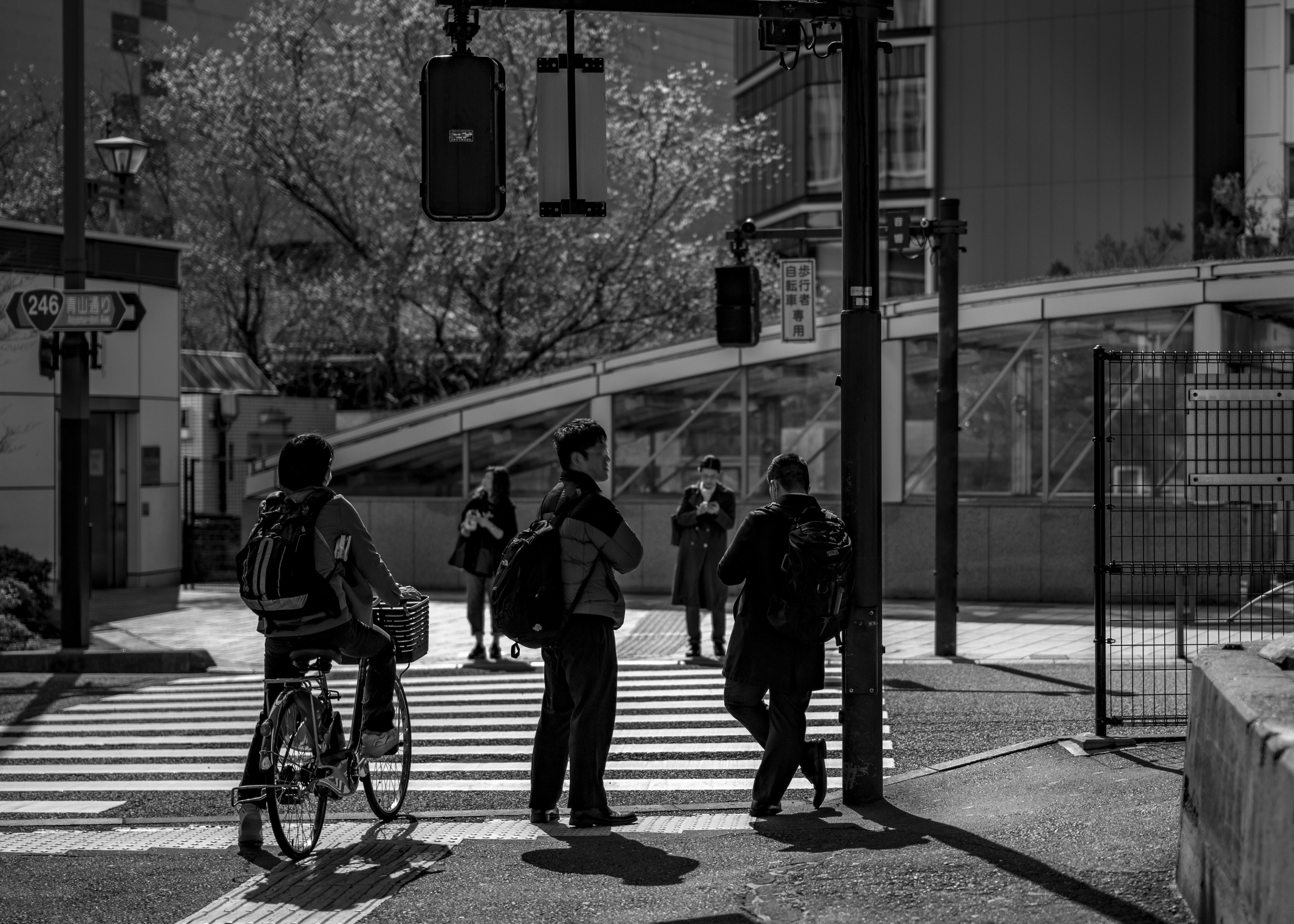 横断歩道で信号待ちする人々のある東京の街並み