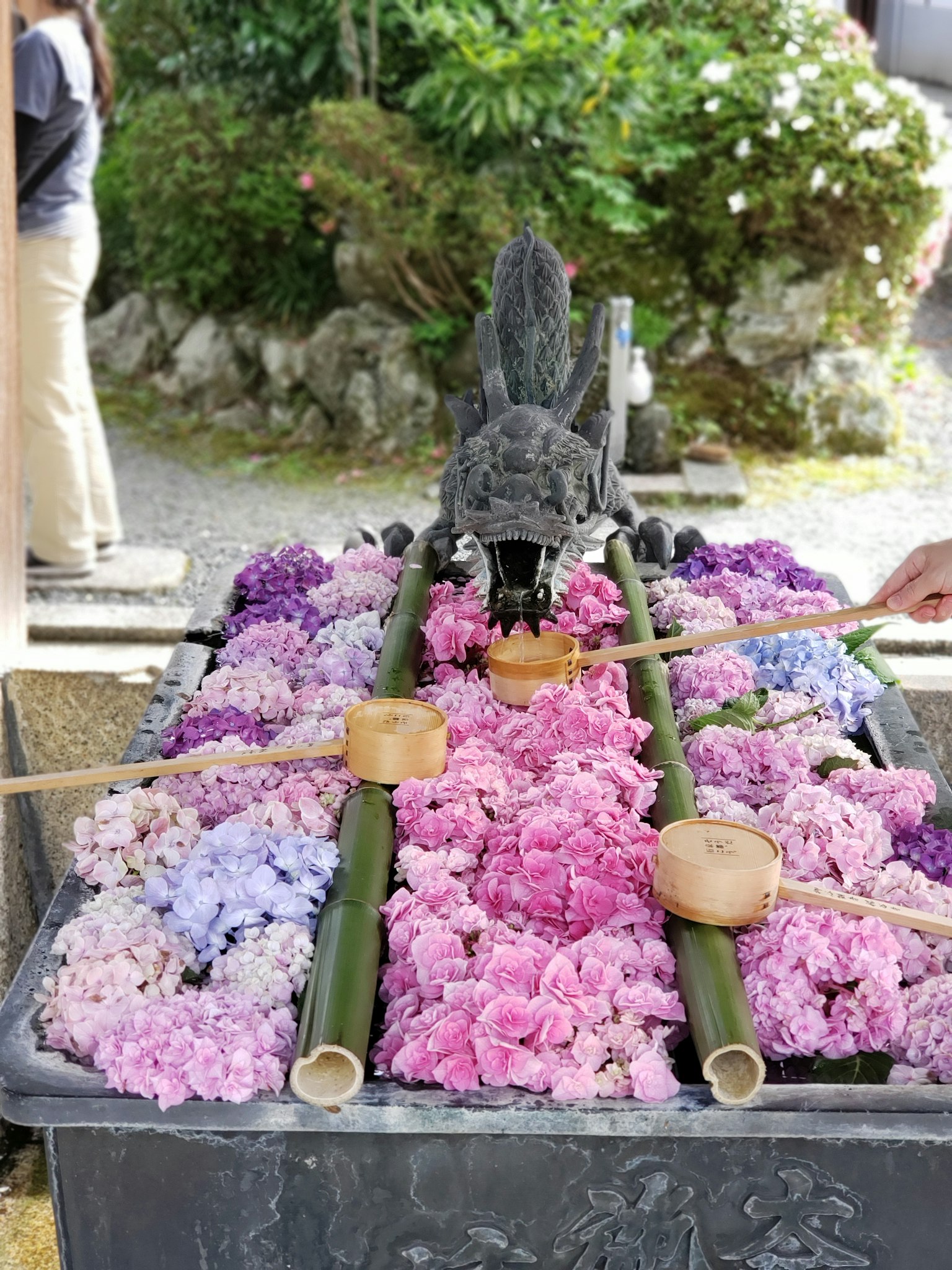 Una caratteristica di un santuario giapponese con una vasca piena di petali di fiori e tubi d'acqua in bambù