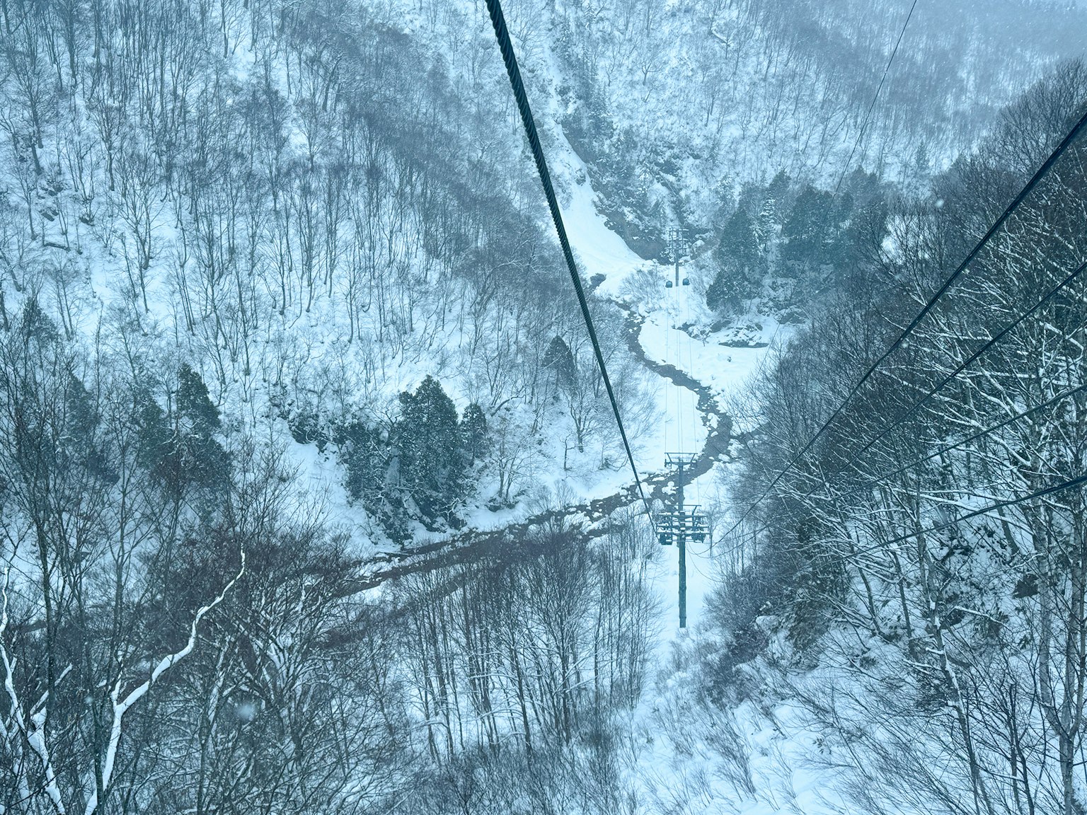 被雪覆蓋的山谷和纜車鋼索