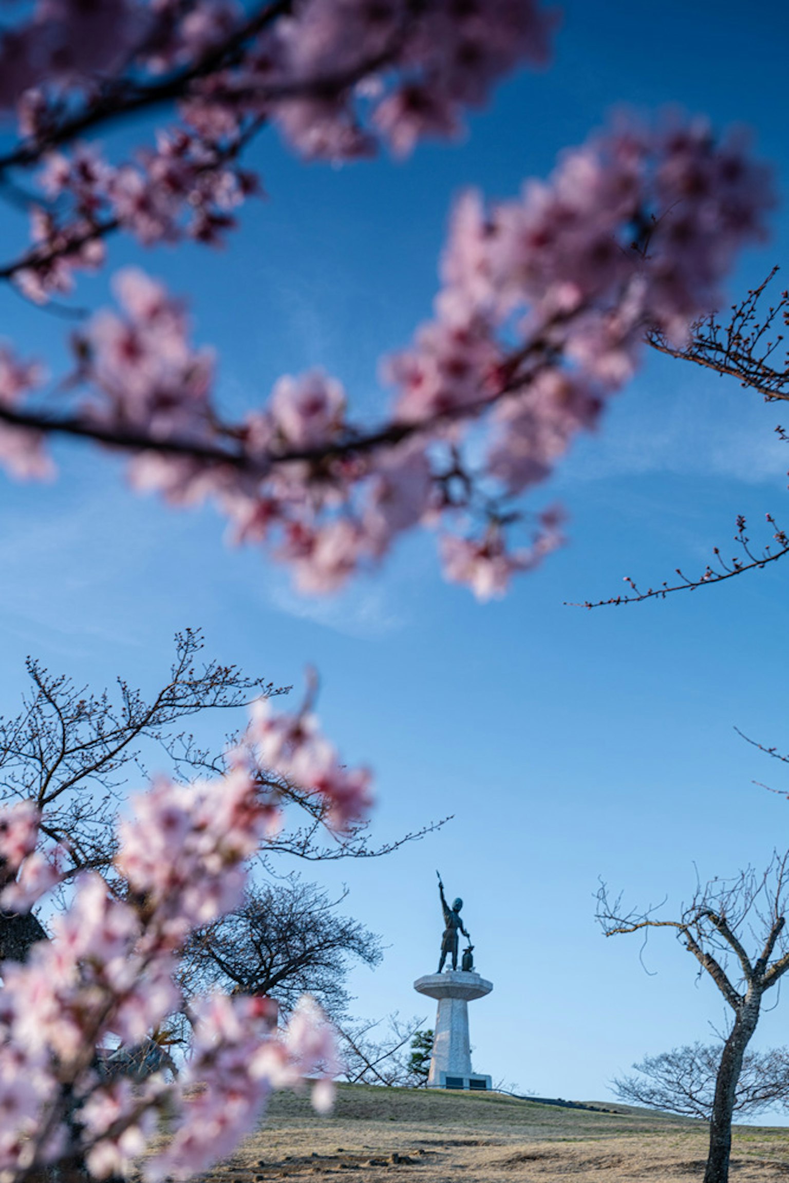 Statue, umrahmt von Kirschblüten vor blauem Himmel