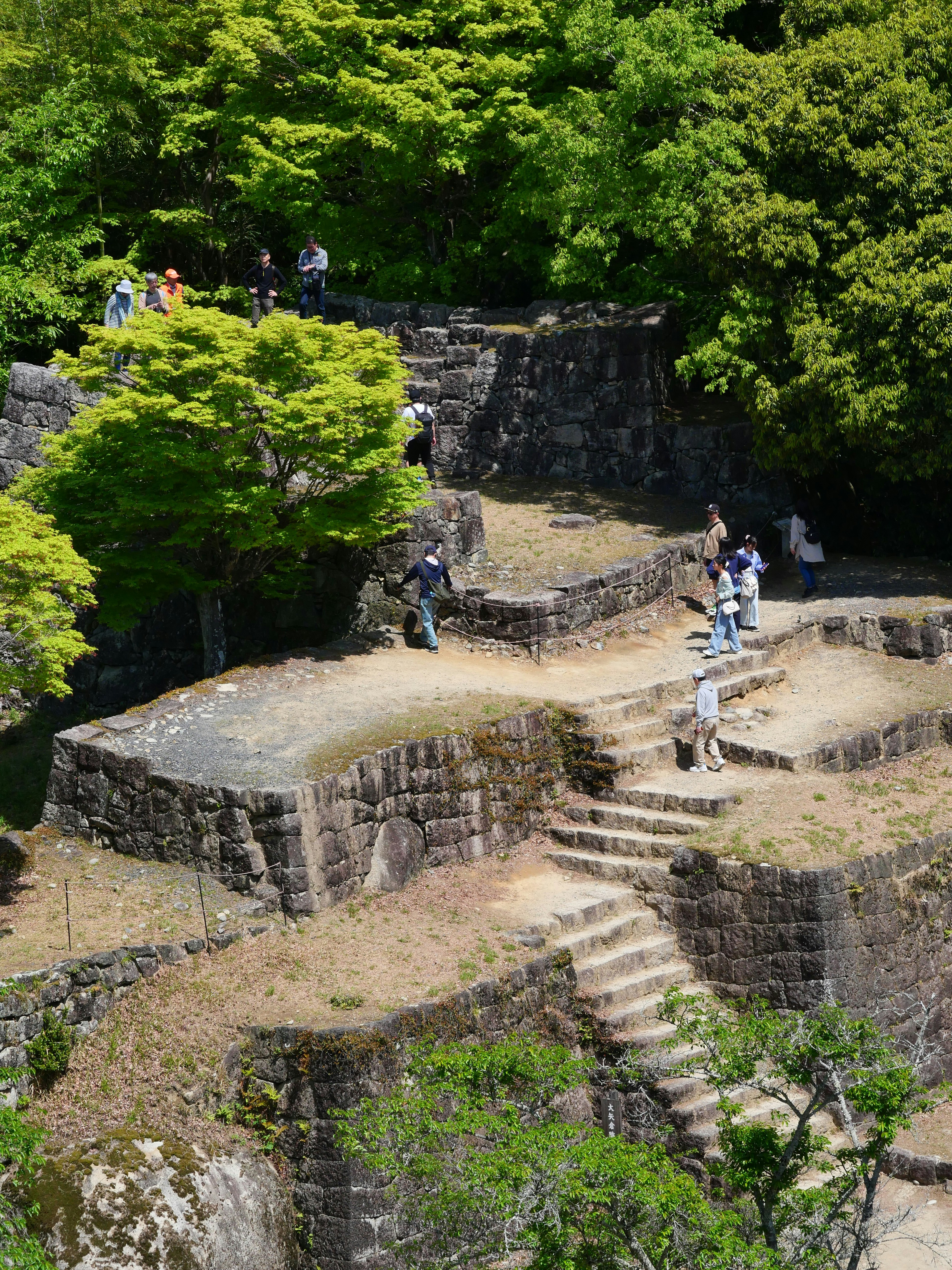 苔むす石段と新緑の庭園を歩く人々の風景