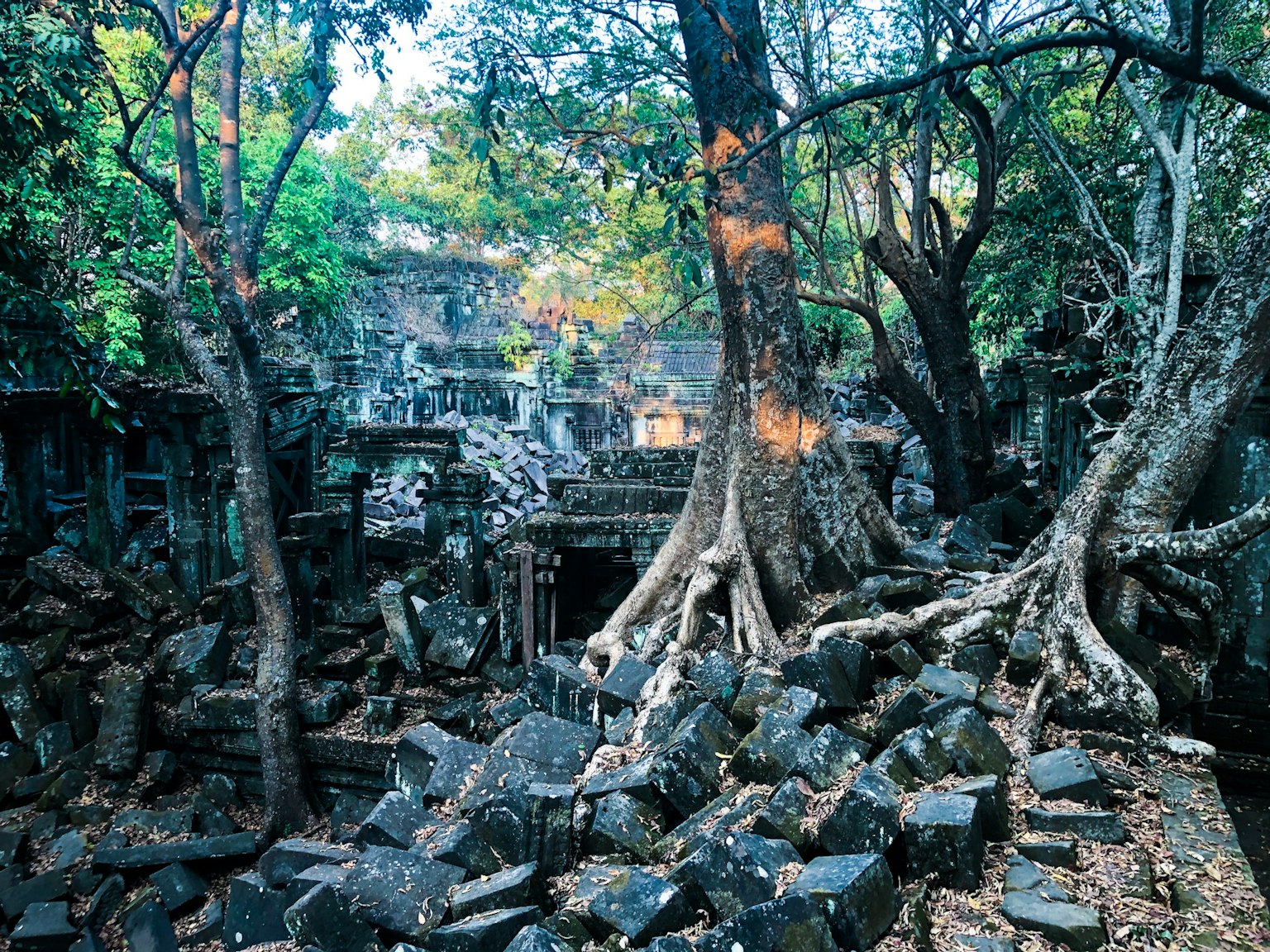 Ruines anciennes enlacées par de grandes racines d'arbres et des débris de pierre