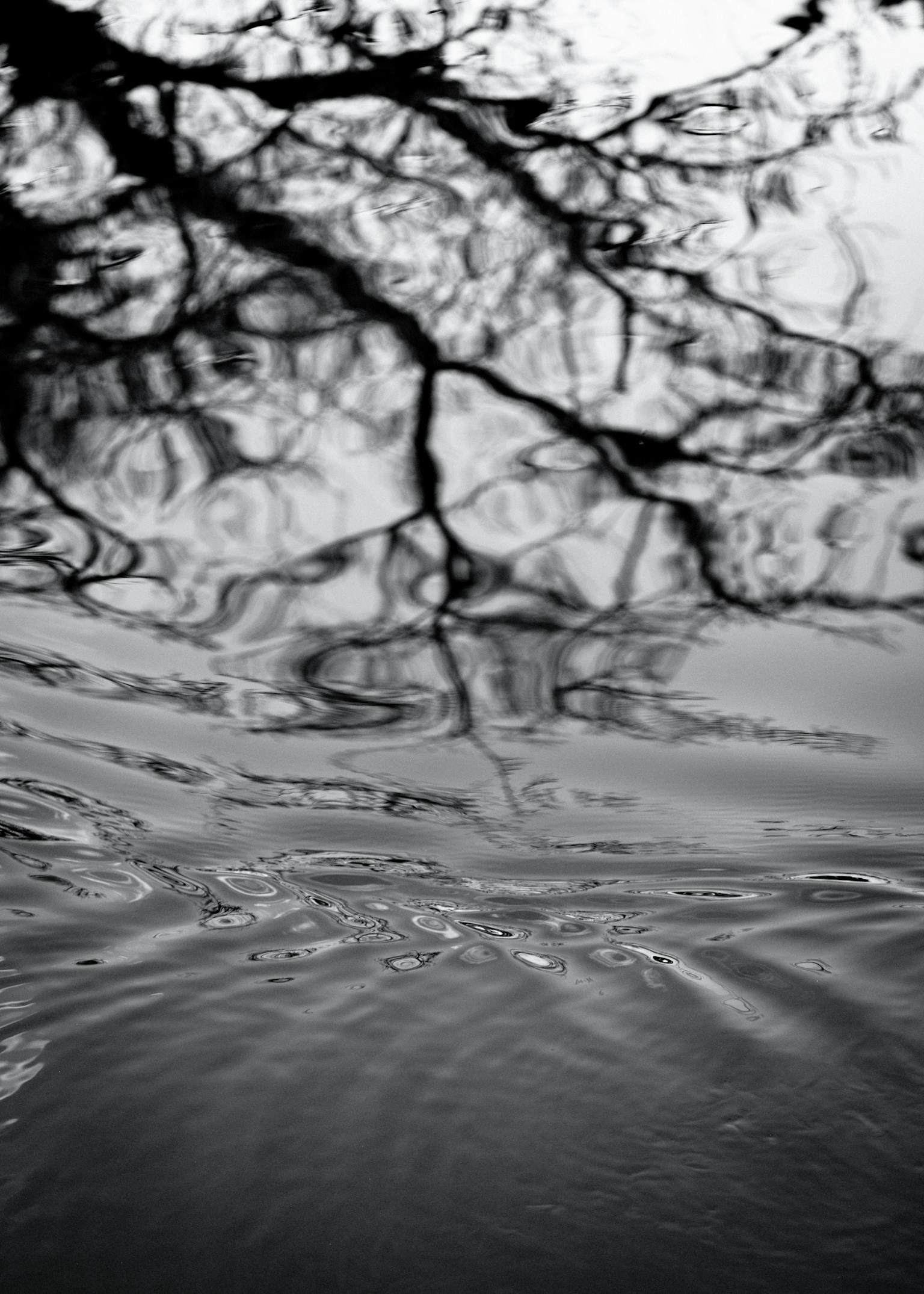 photo-LNX0njAqTAVTq8VbpesY-image