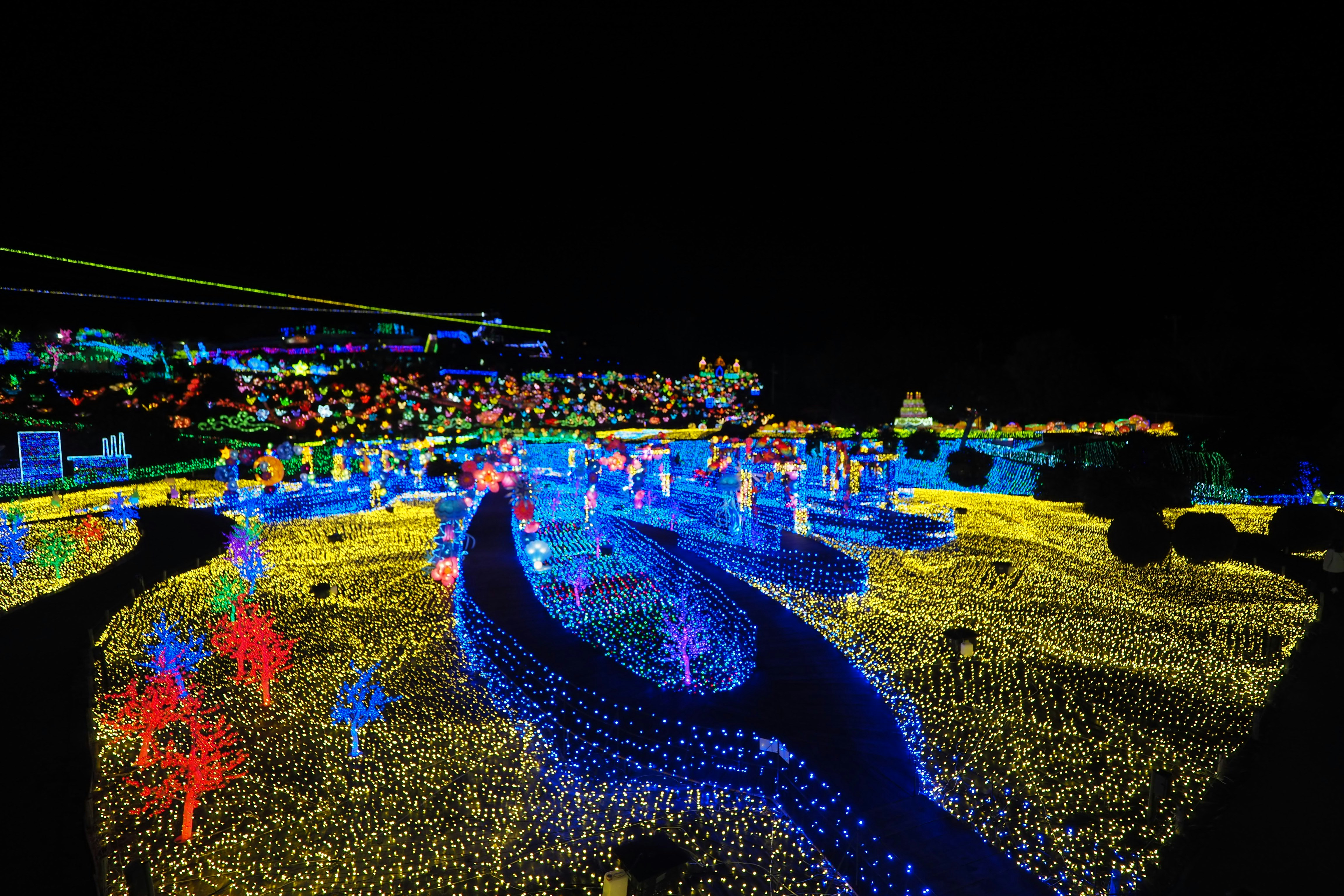 œuvre d’art lumineuse le long d’une rivière la nuit