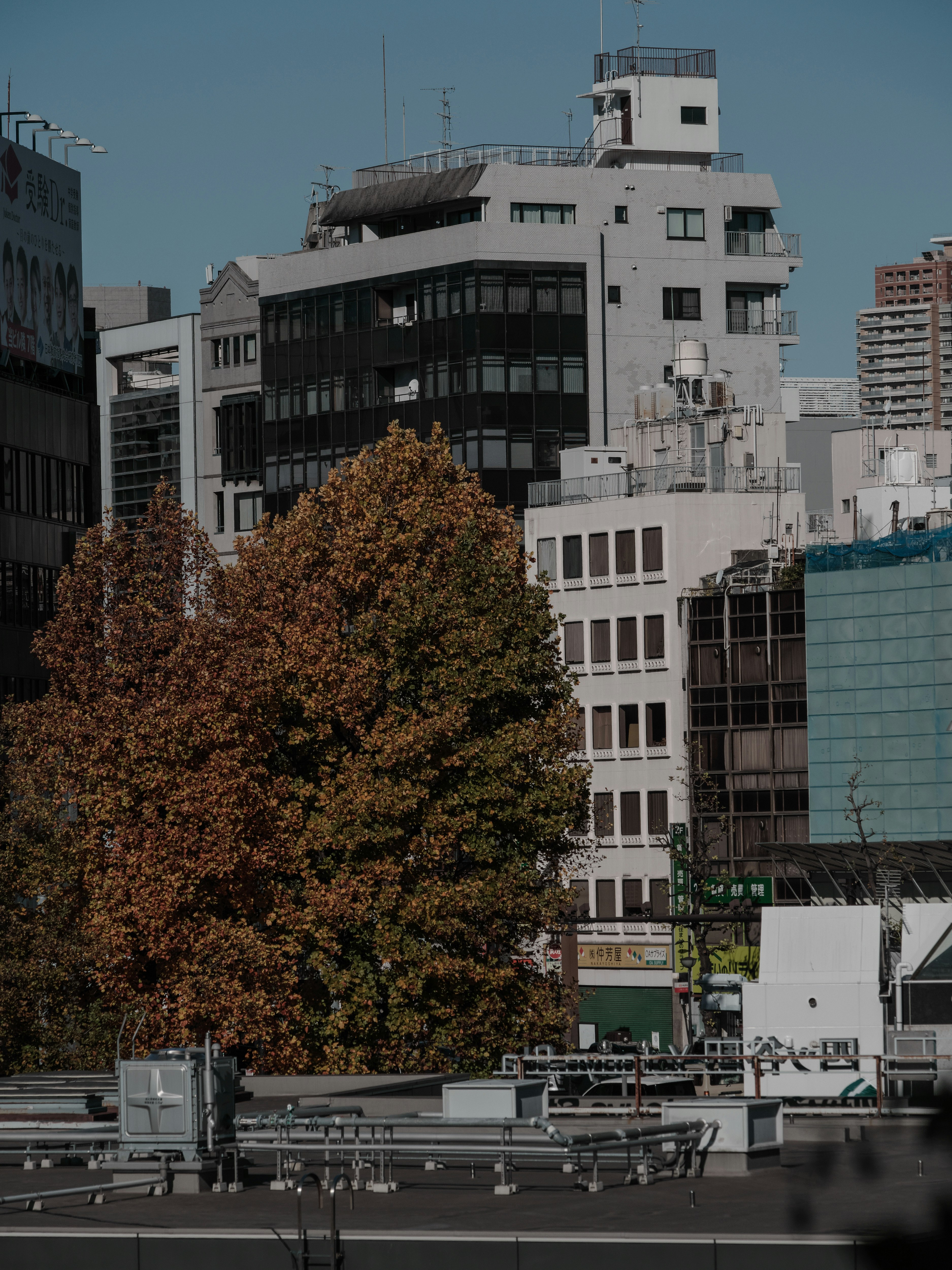 四谷の都市風景