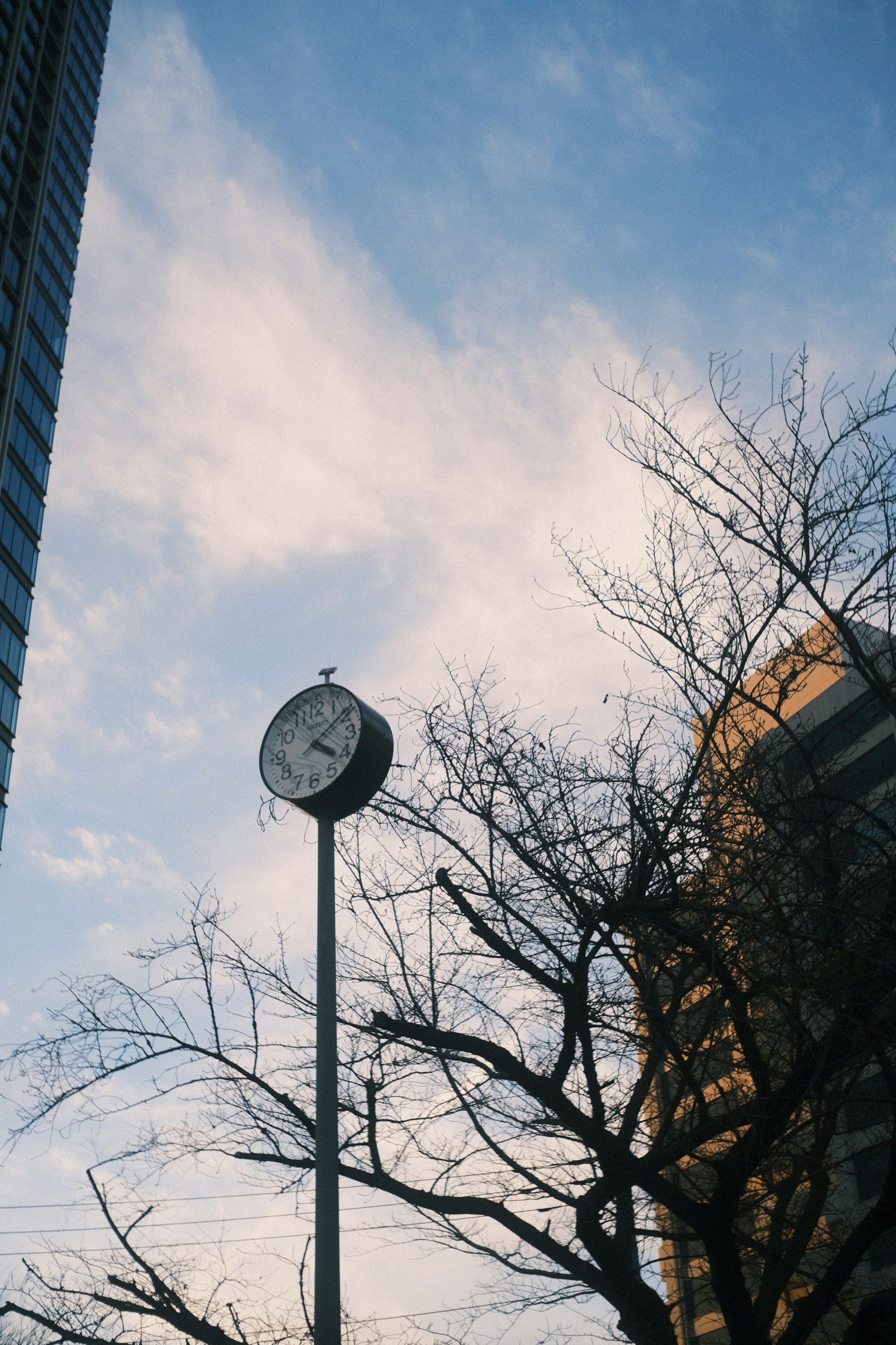 Jam di tiang dengan cabang pohon telanjang di latar belakang langit biru