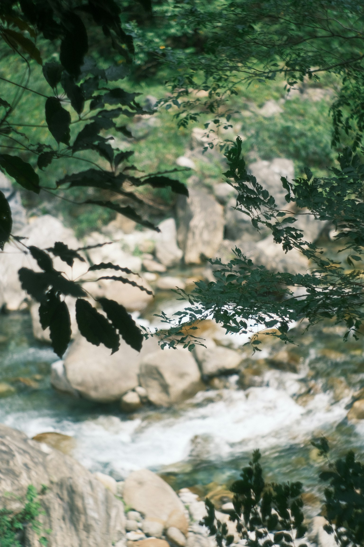 photo-LOD2FsKMUamqdjxOTp1T-image