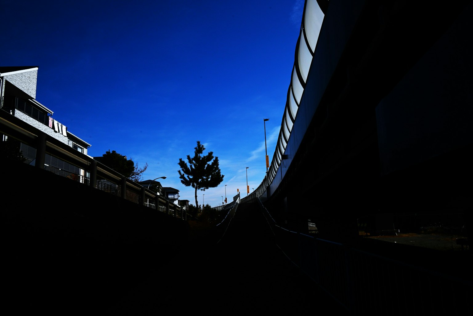 Silueta de un edificio curvado y un árbol bajo un cielo azul