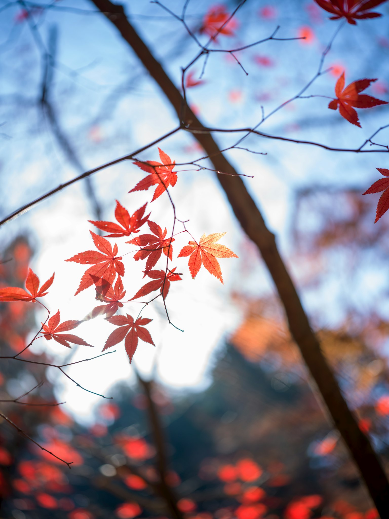 photo-LP57xKww37XgYRgdaRKY-image