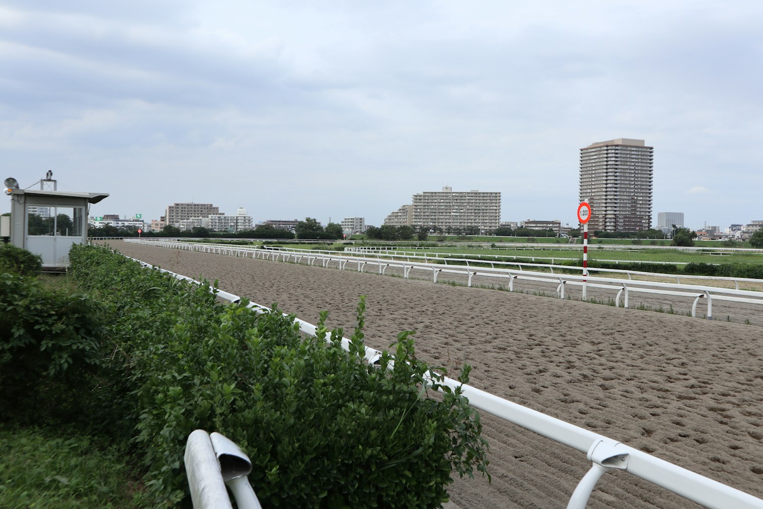 View of a horse racing track with sandy surface and surrounding buildings