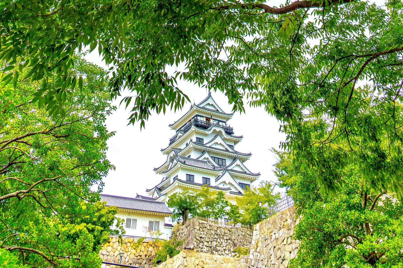 A castle tower framed by green trees