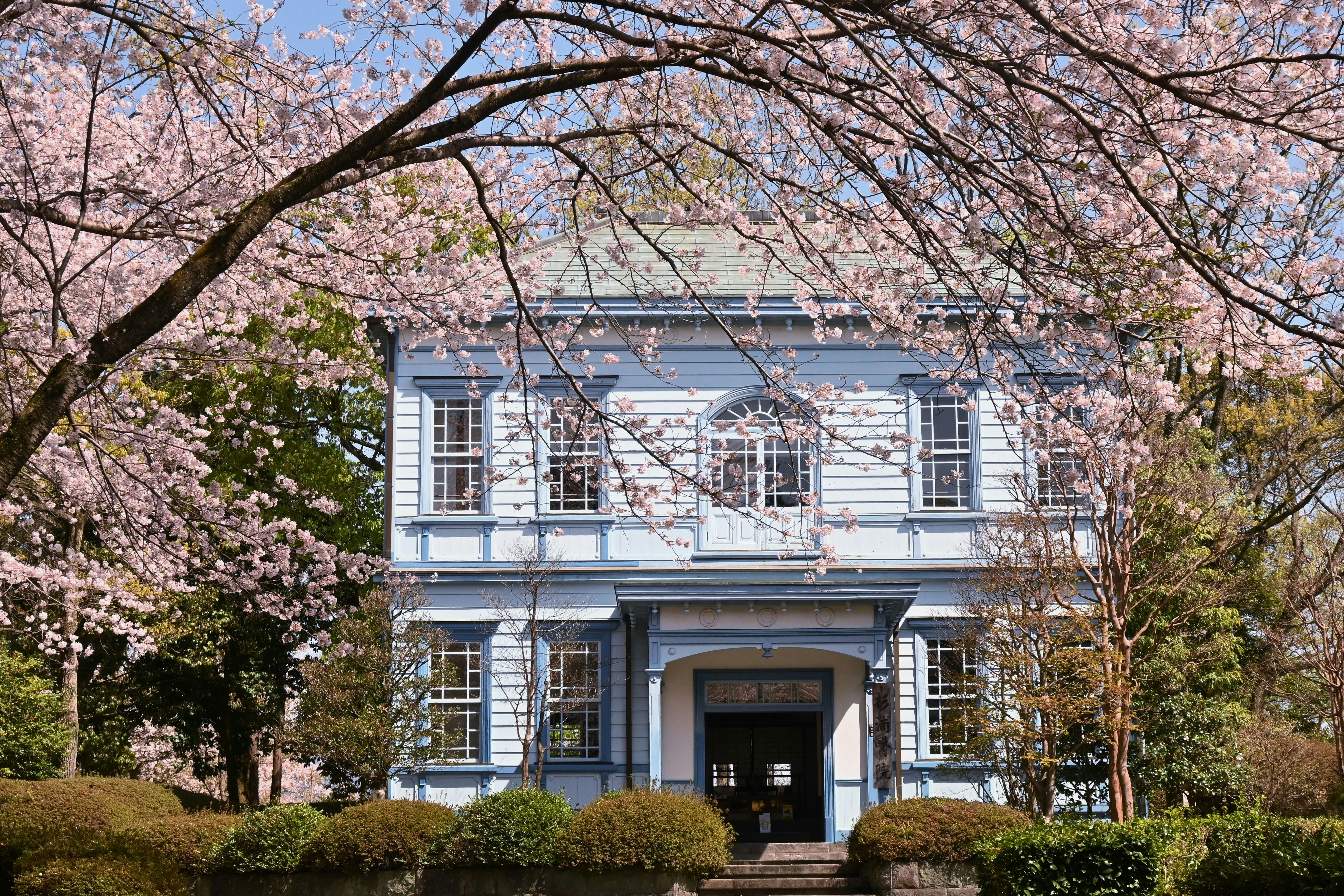 桜咲く富士市の旧医院（かぐや姫ミュージアム）