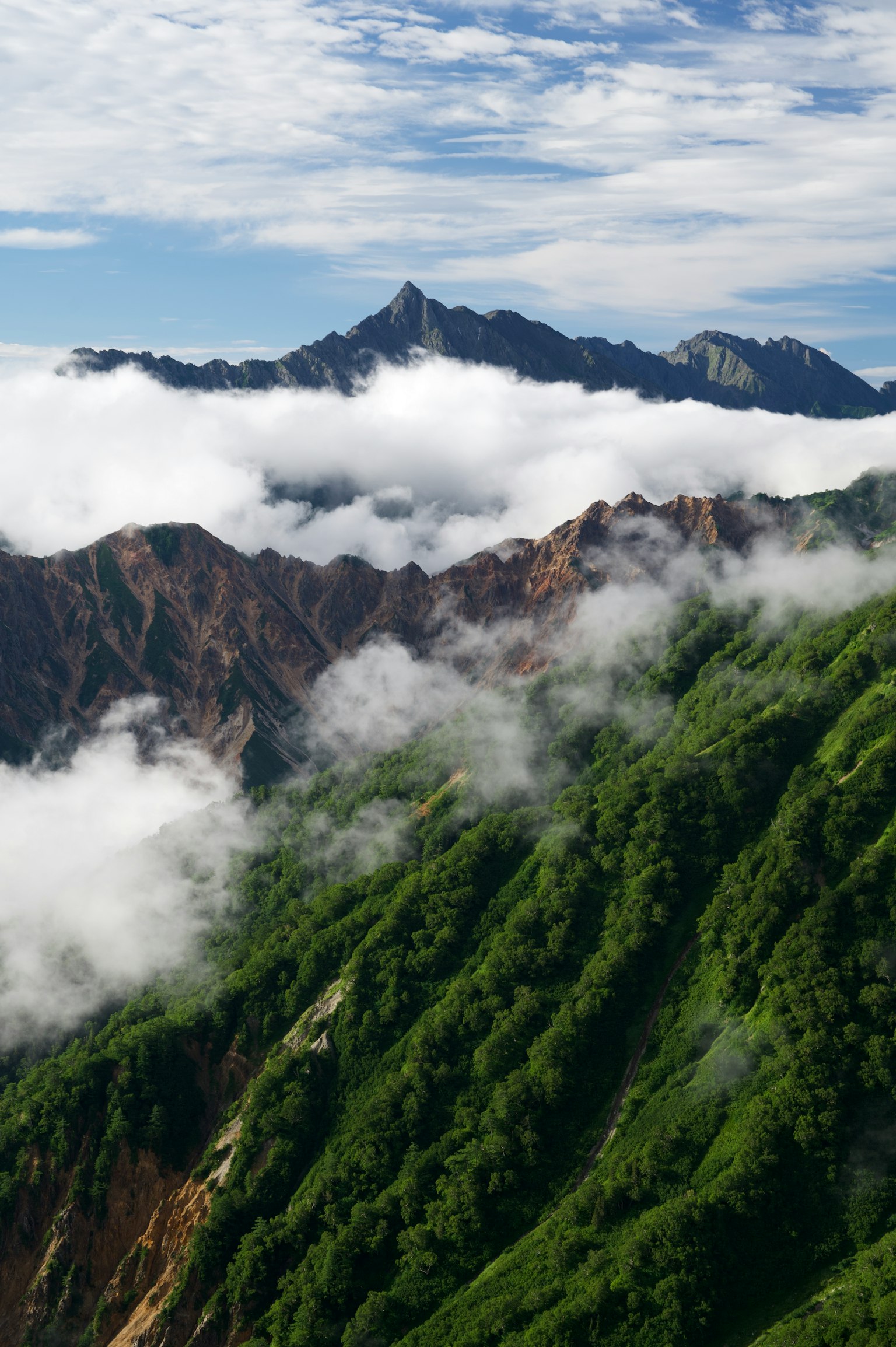 Montagne verdi con un mare di nuvole