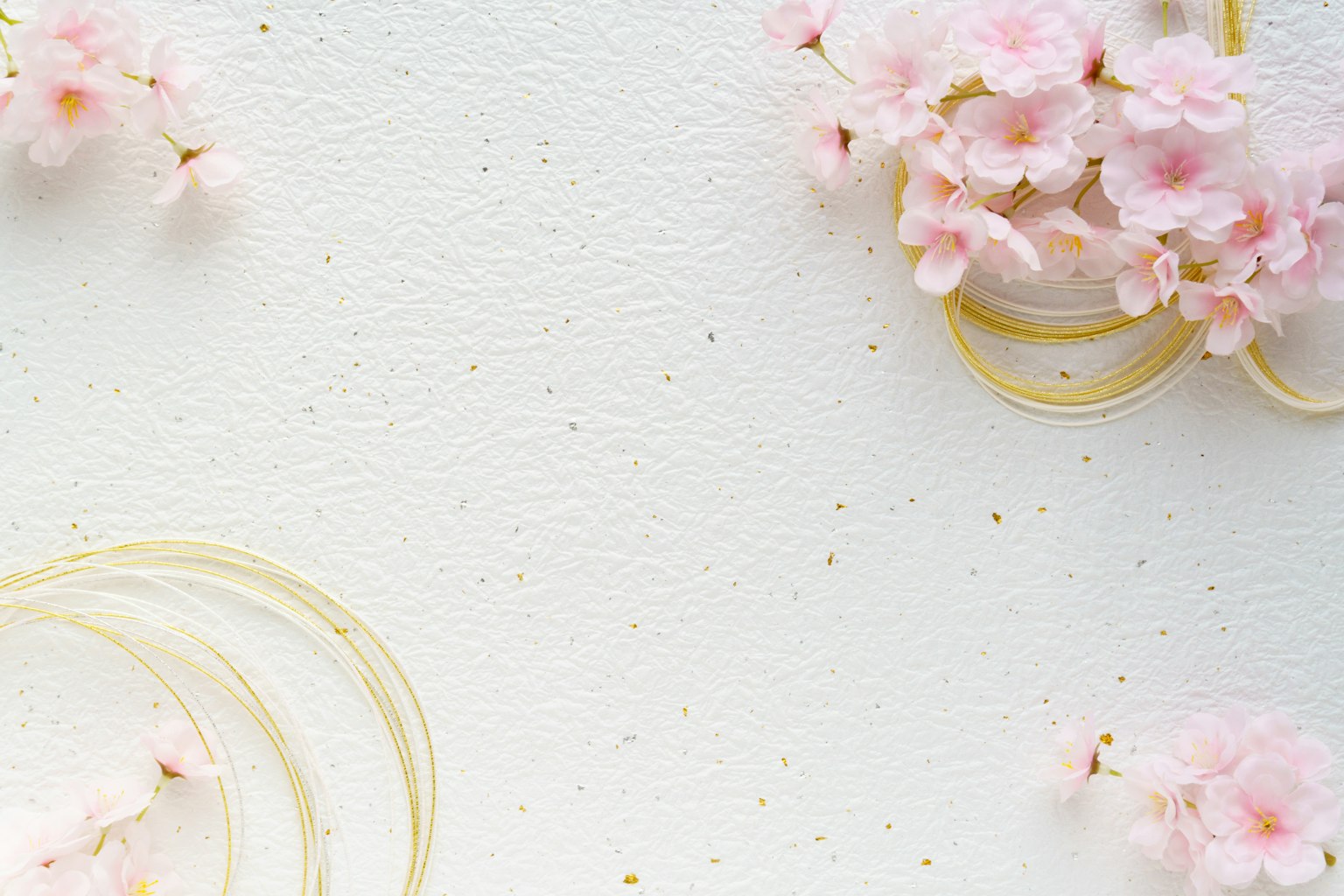 Bunga sakura pink halus dan cincin emas di latar belakang putih
