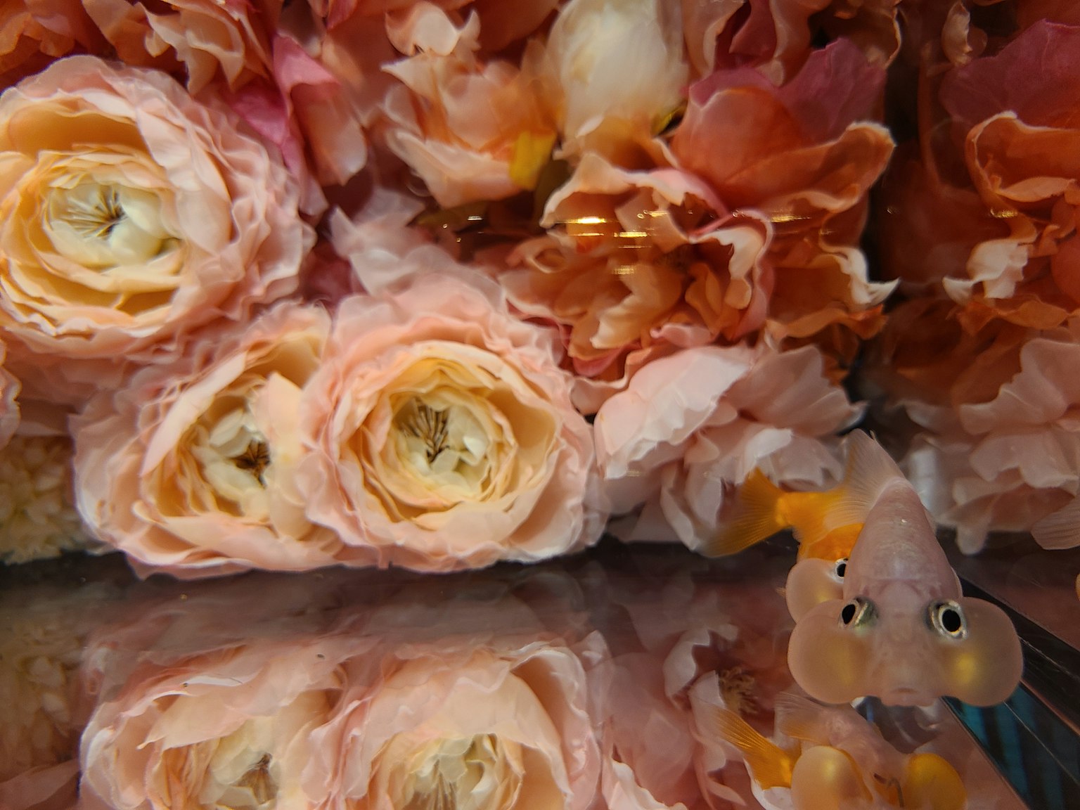 Immagine che presenta bellissimi fiori rosa con riflessi sull'acqua
