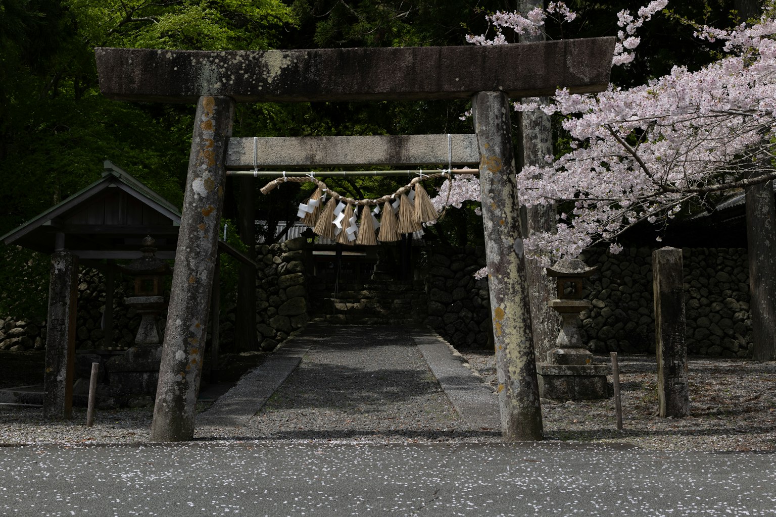 photo-LRPlAtrN0q2LFSyyapbN-image