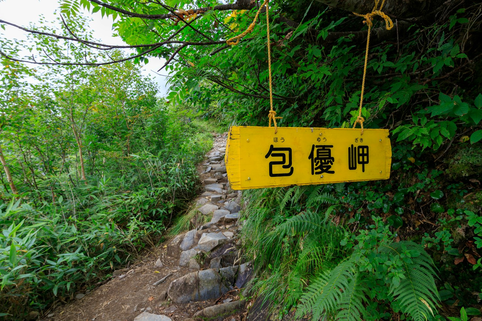 Ein gelbes Schild hängt zwischen grünen Bäumen entlang eines Pfades mit den Zeichen für 'Bao You Kap'