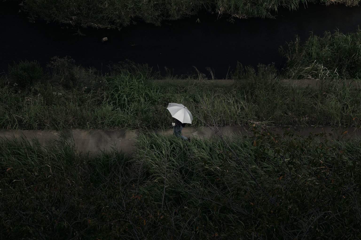 photo-LRZx4cb7XUm4wEJXYv5c-image