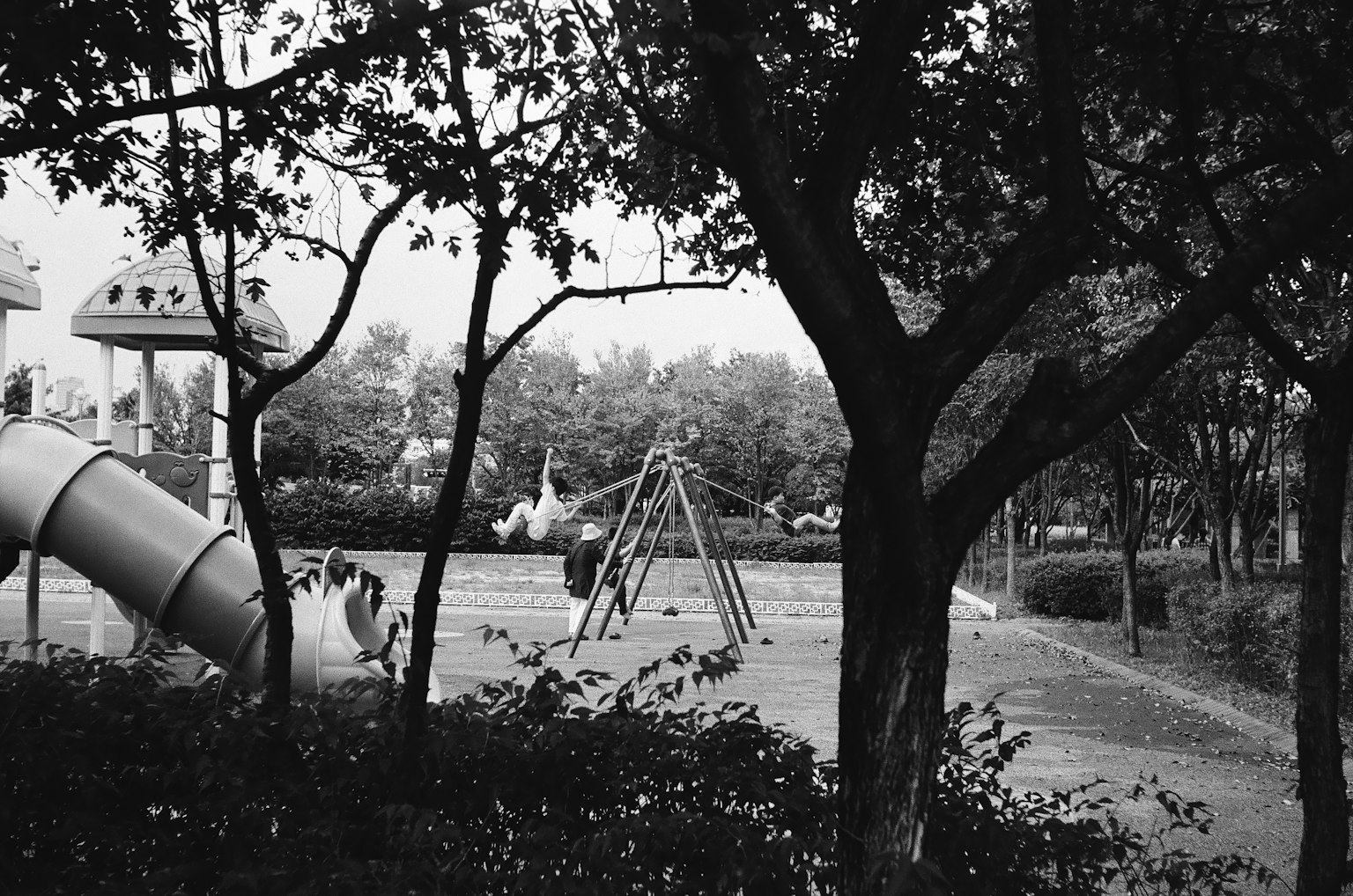 公園の遊び場にある滑り台とブランコが見える黒白の写真
