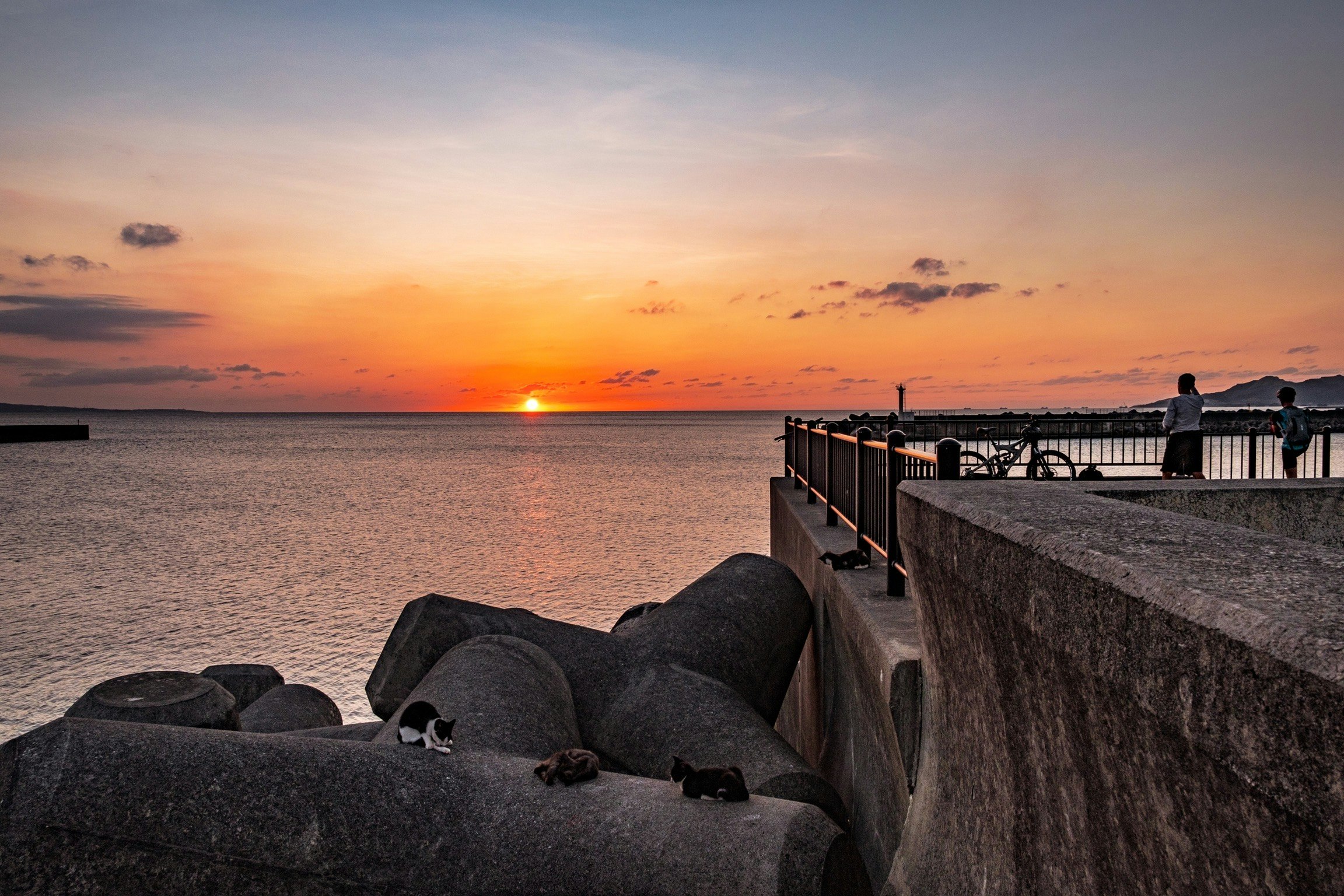 Sonnenuntergang am Meer, Wellenbrecher und Schweine auf Felsen