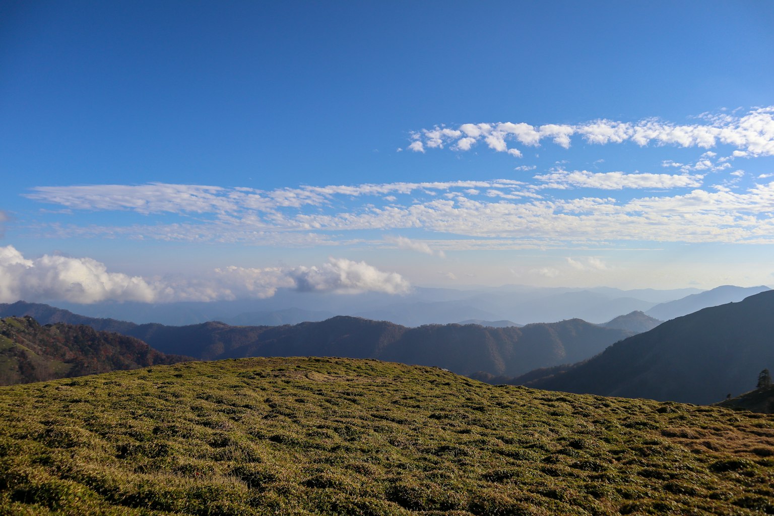 藍天和雲的山景 綠色草地