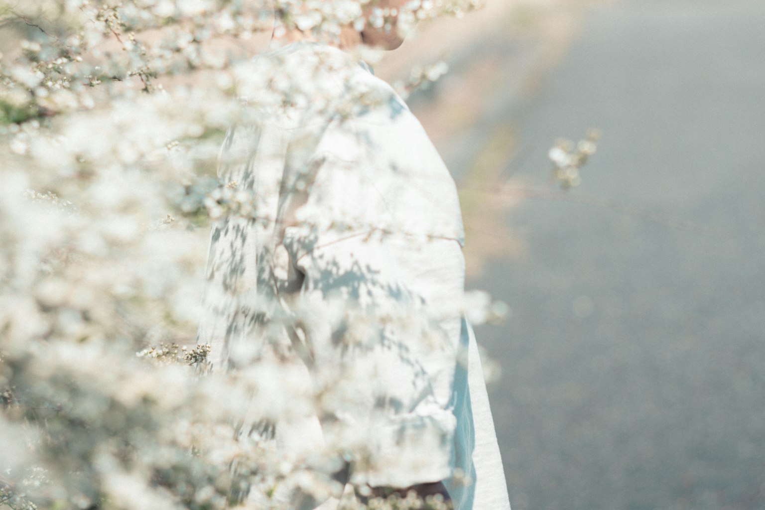 A person standing amidst soft flowers with a blurred background