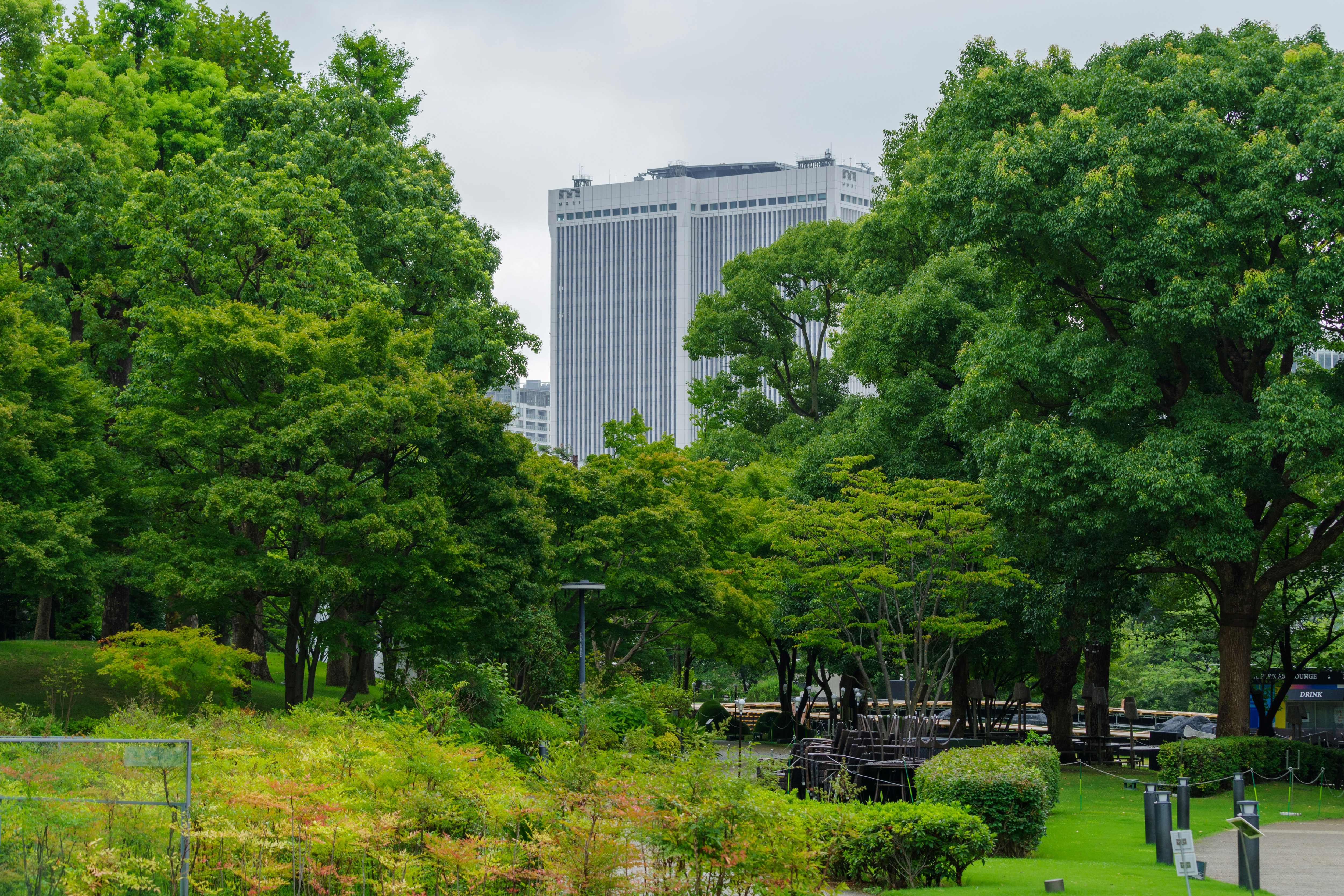 View of a park surrounded by lush trees with a tall office building in the background
