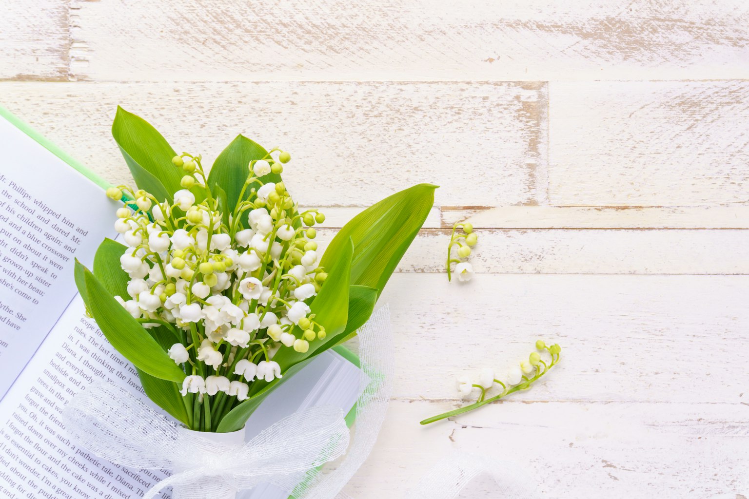 Lily of the valley dengan bunga putih dan daun hijau diletakkan di atas buku terbuka