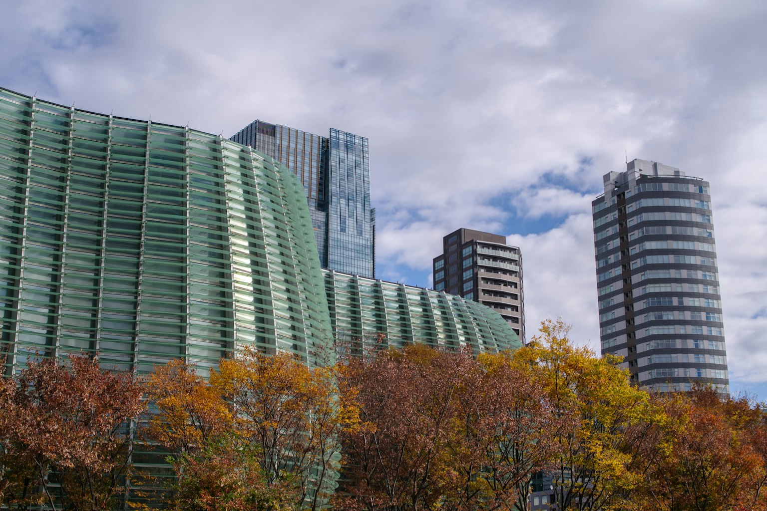 Modern buildings with colorful trees in an urban landscape