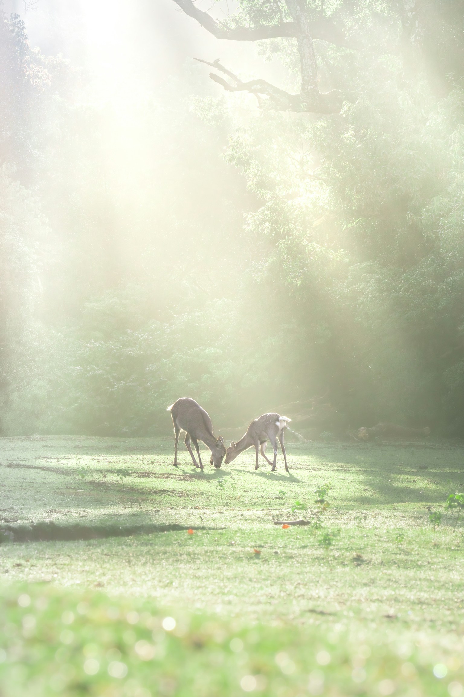 photo-LTd3UvRbfDvgyTJnmvgm-image