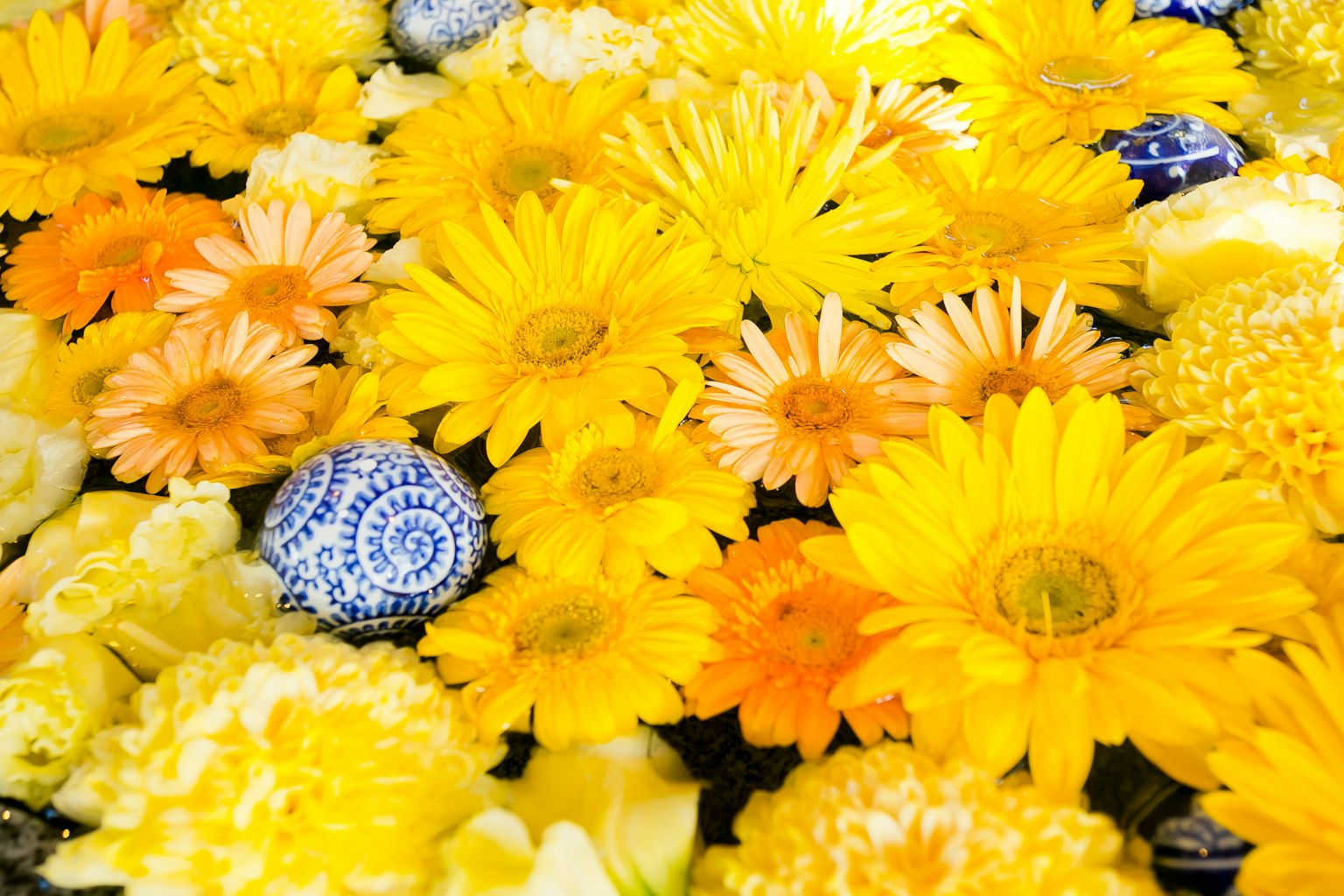 Bright yellow and orange flowers arranged in a floral display