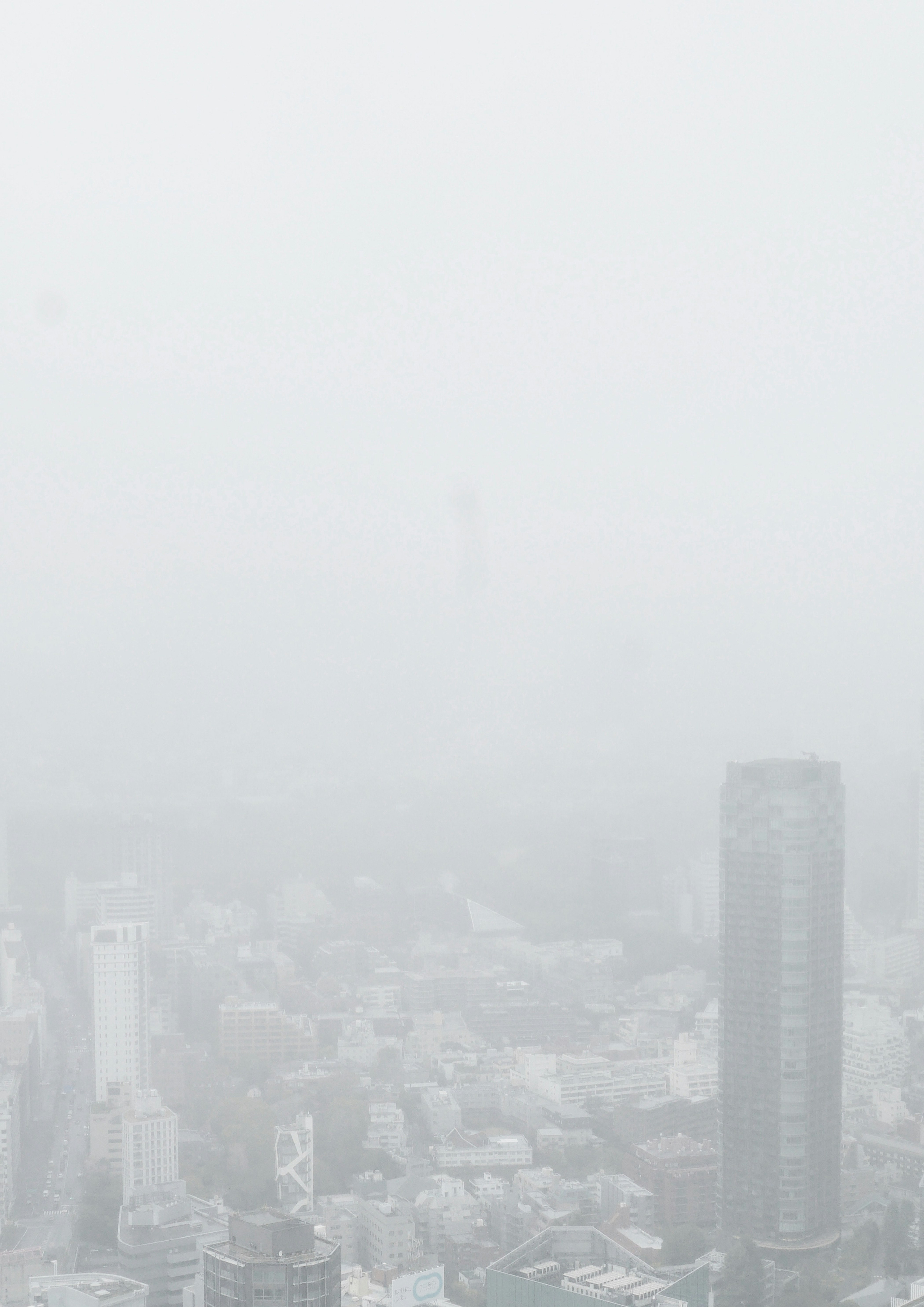 霧の中から見下ろす都市の高層ビル群