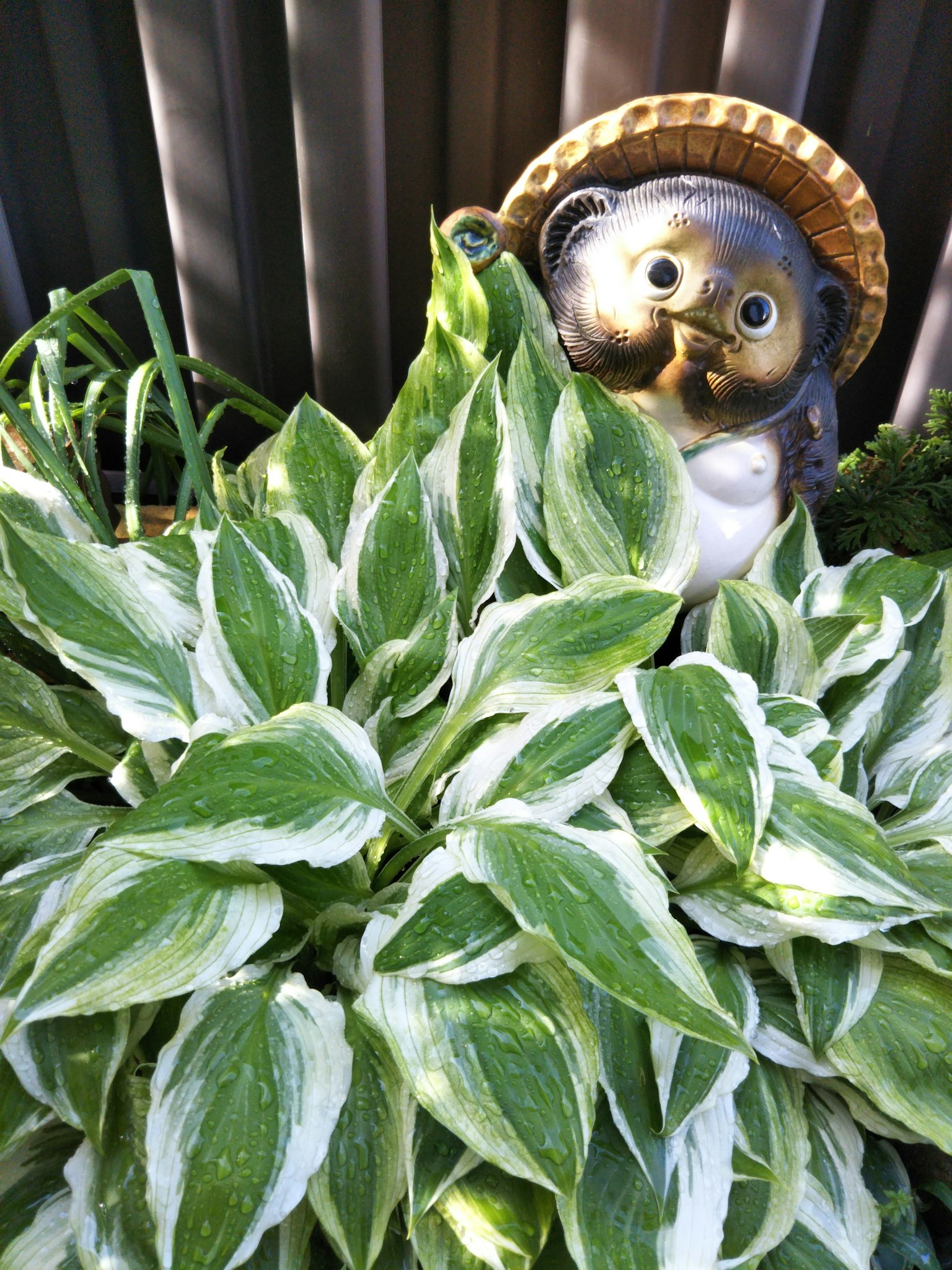Small ceramic figure peeking from lush green plant leaves