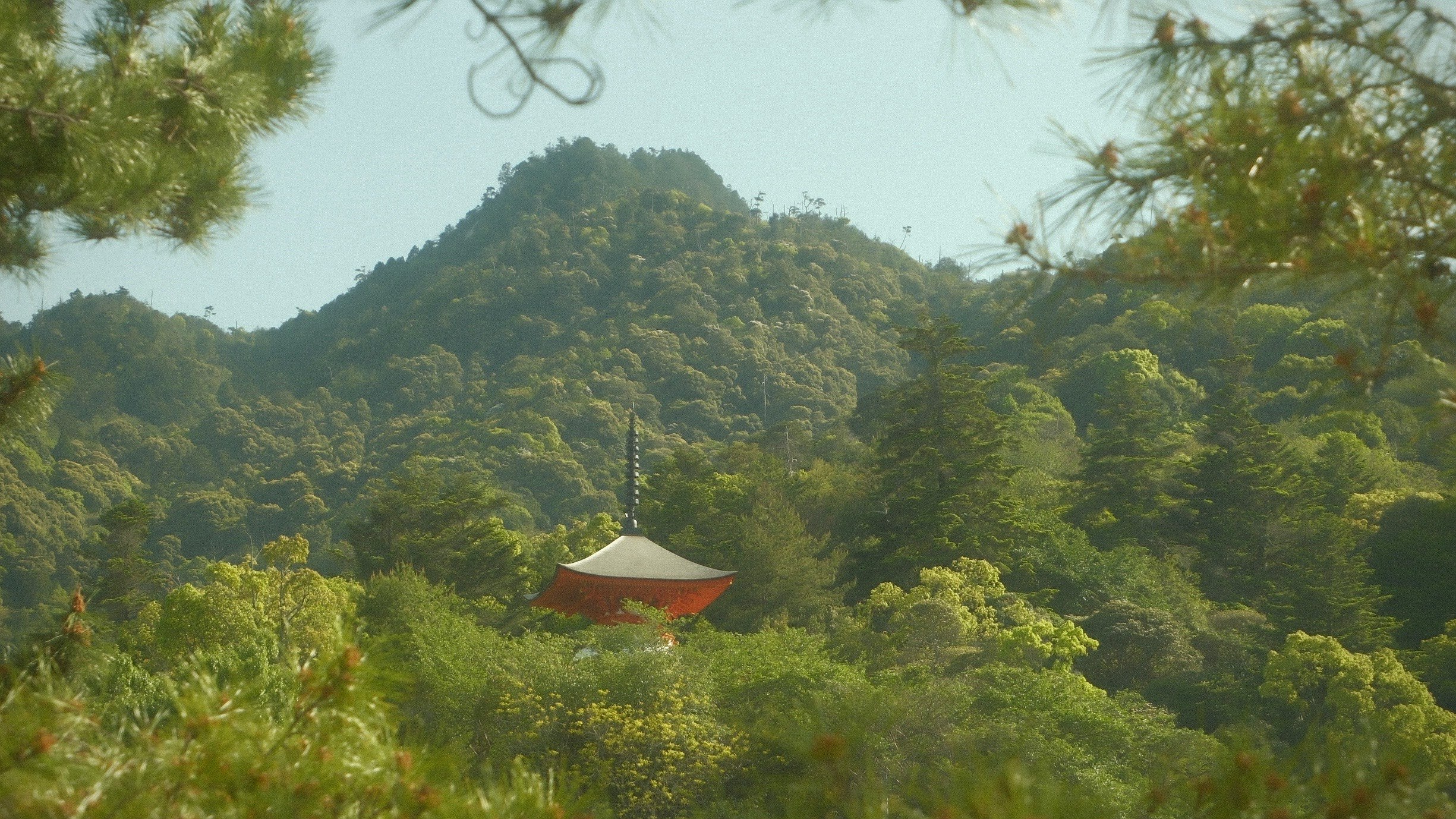 緑の山に囲まれた空と木々の風景