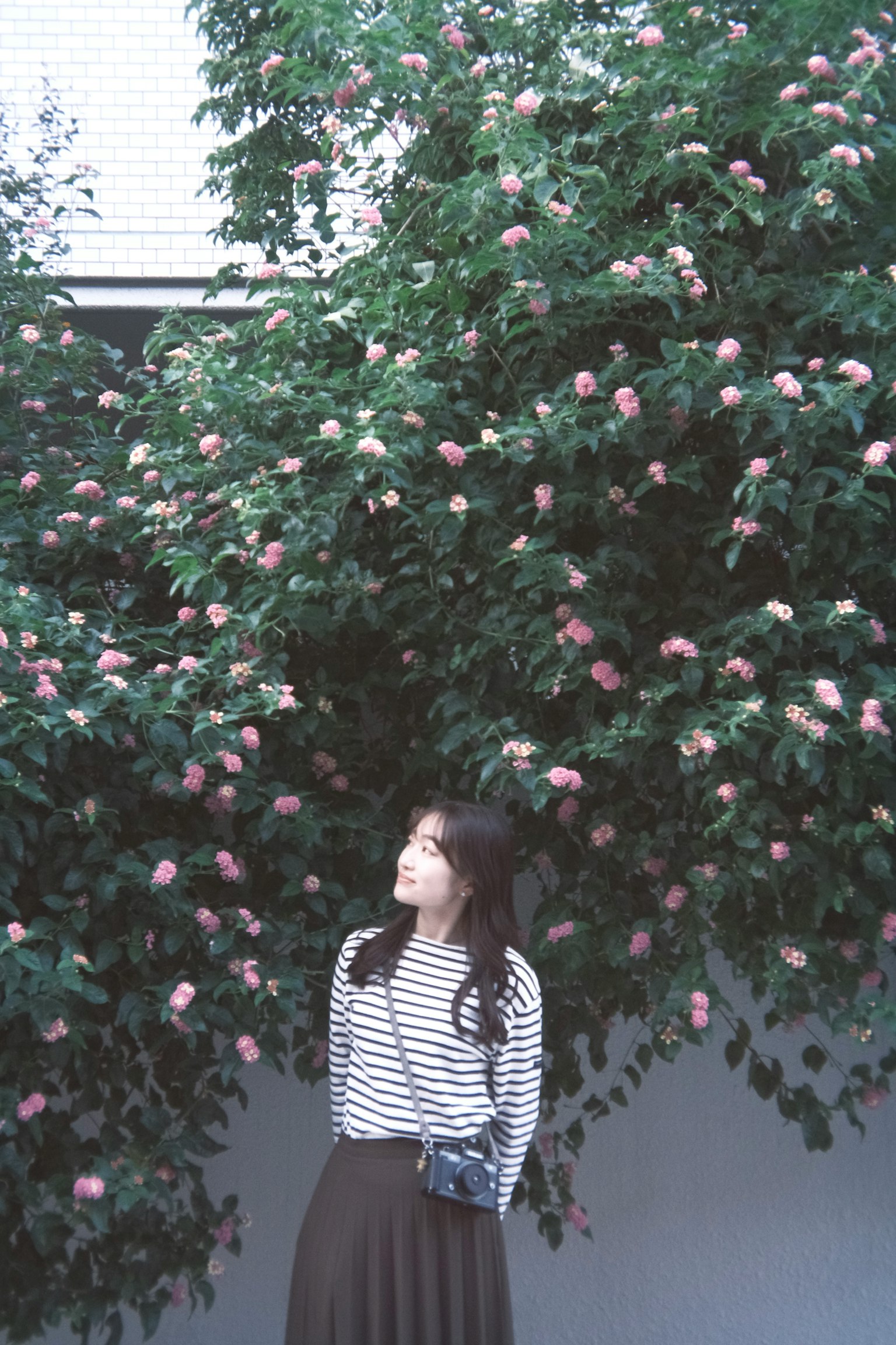 ผู้หญิงยืนอยู่หน้าต้นไม้ที่มีดอกไม้สวมเสื้อเชิ้ตลายทางและกระโปรง