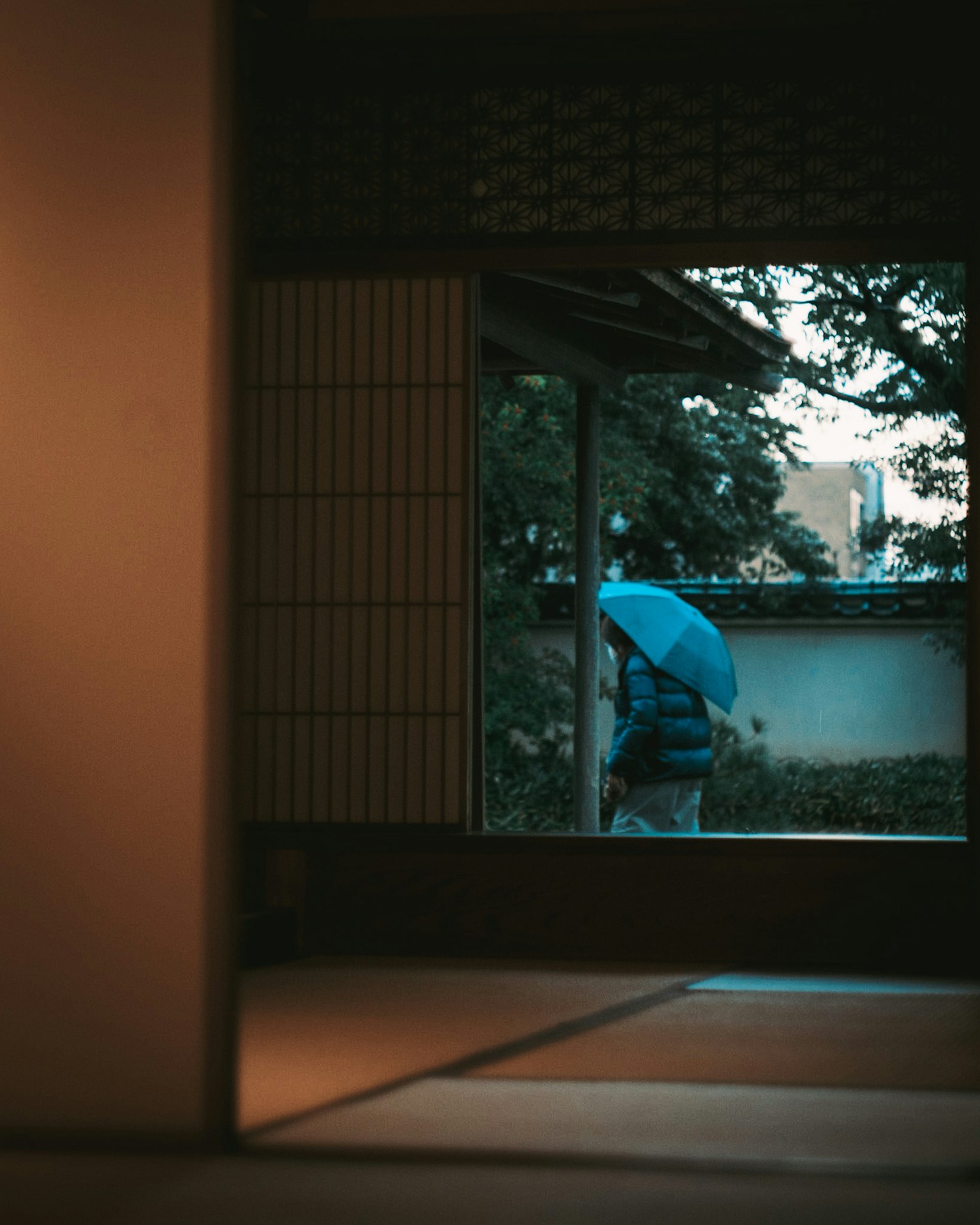 A person with a blue umbrella walking outside a traditional Japanese room