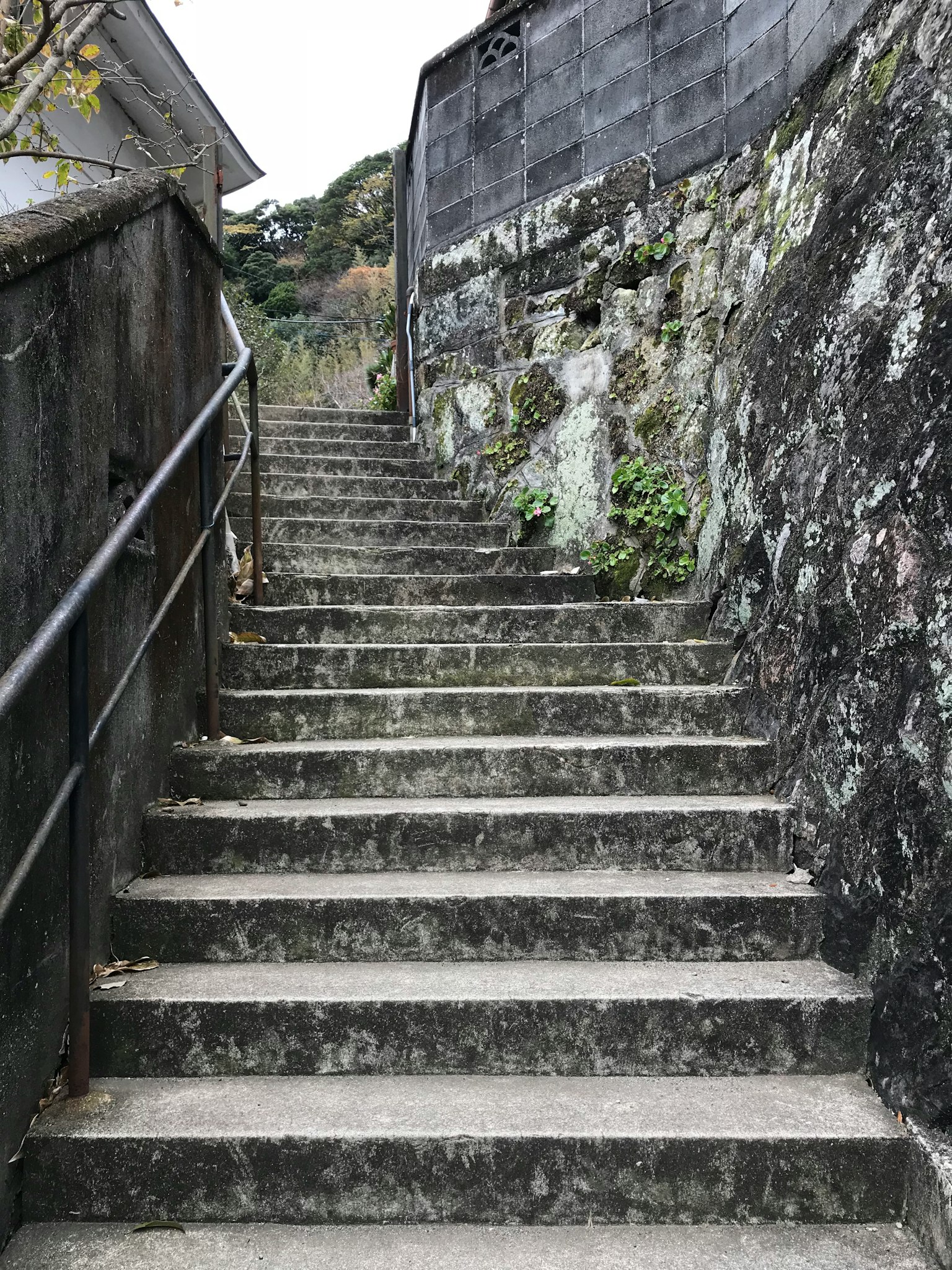 带栏杆的混凝土楼梯和石墙