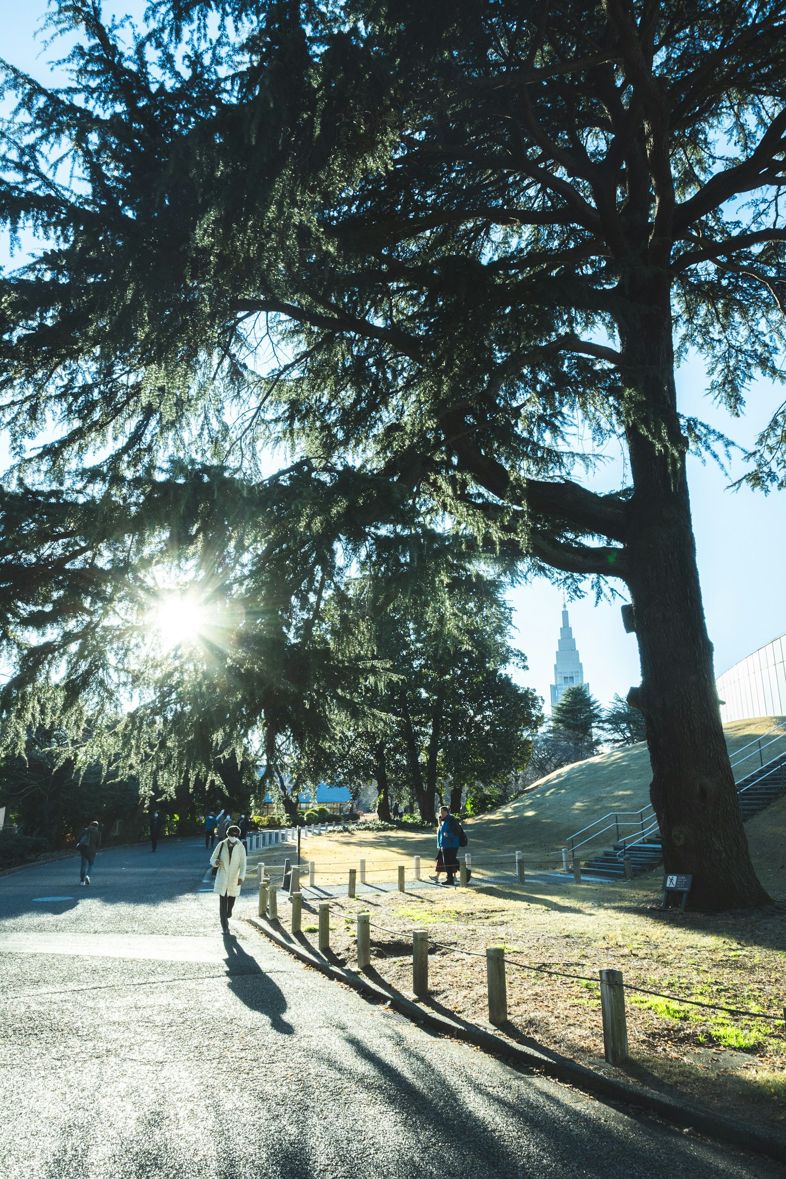 Chemin avec la lumière du soleil filtrant à travers les arbres et des personnes marchant